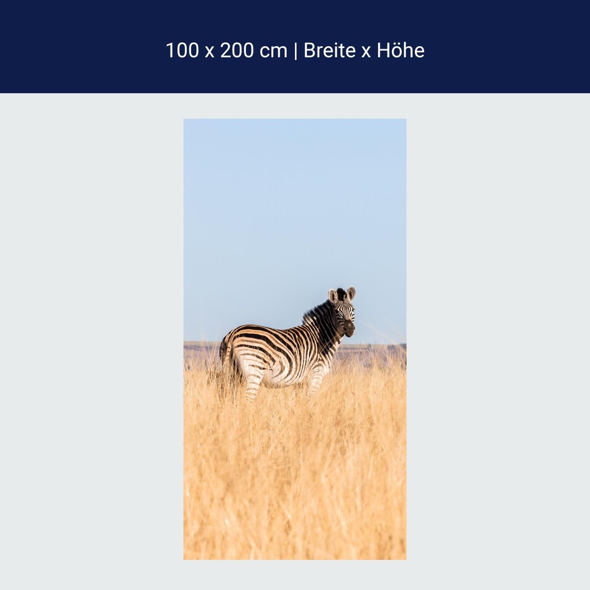 Duschwand Manada de cebras M1007 Duschwand Manada de cebras M1007