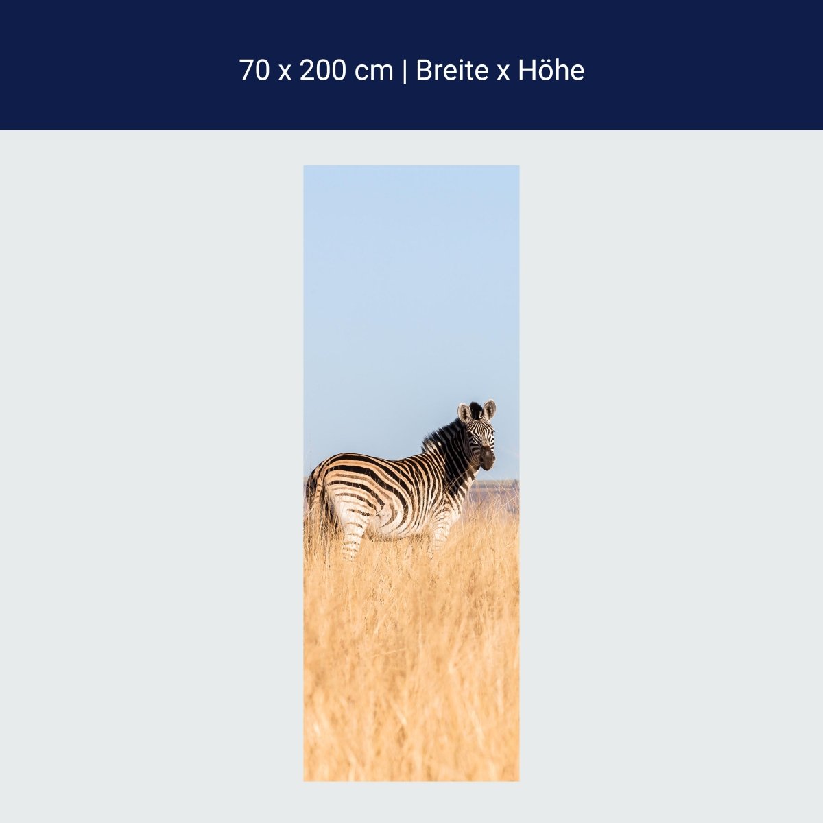 Duschwand Manada de cebras M1007 Duschwand Manada de cebras M1007