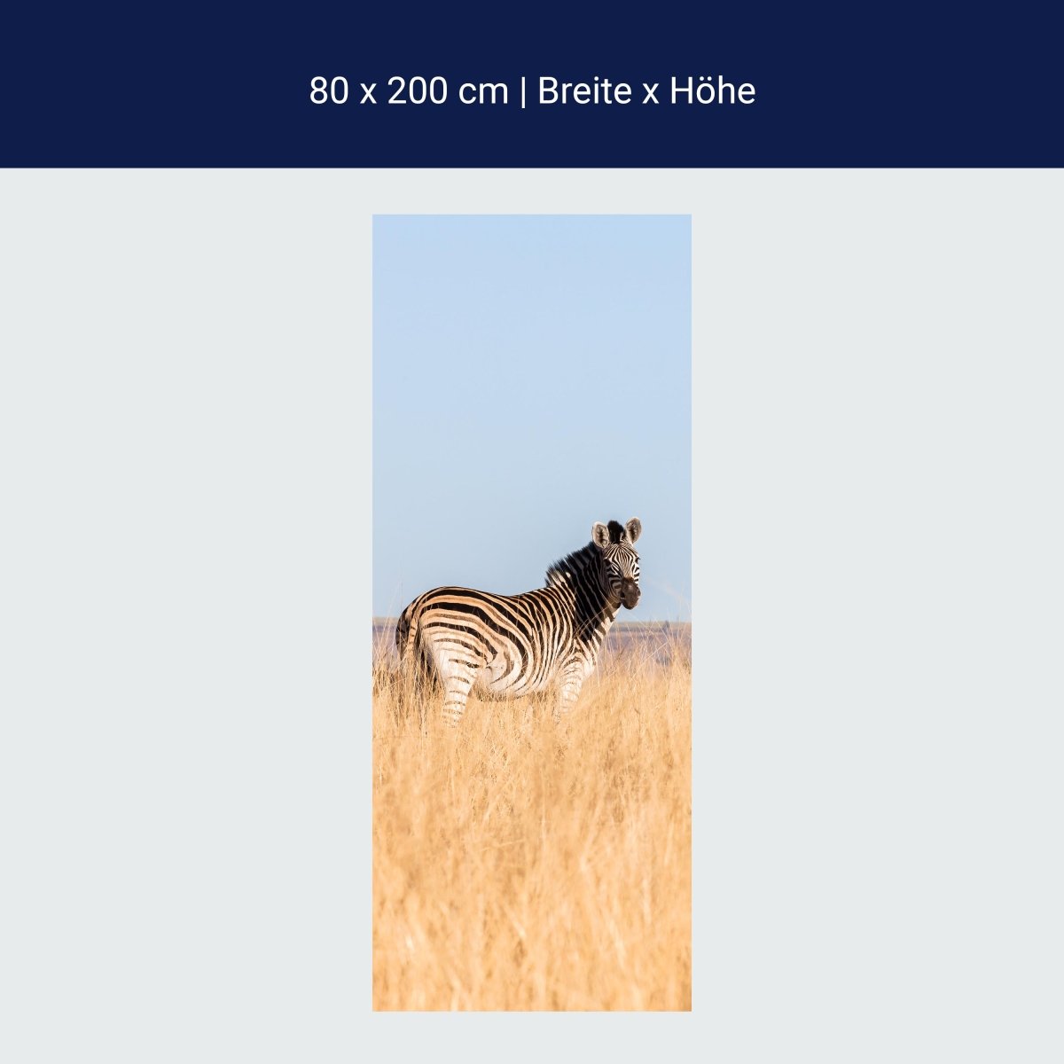 Duschwand Manada de cebras M1007 Duschwand Manada de cebras M1007
