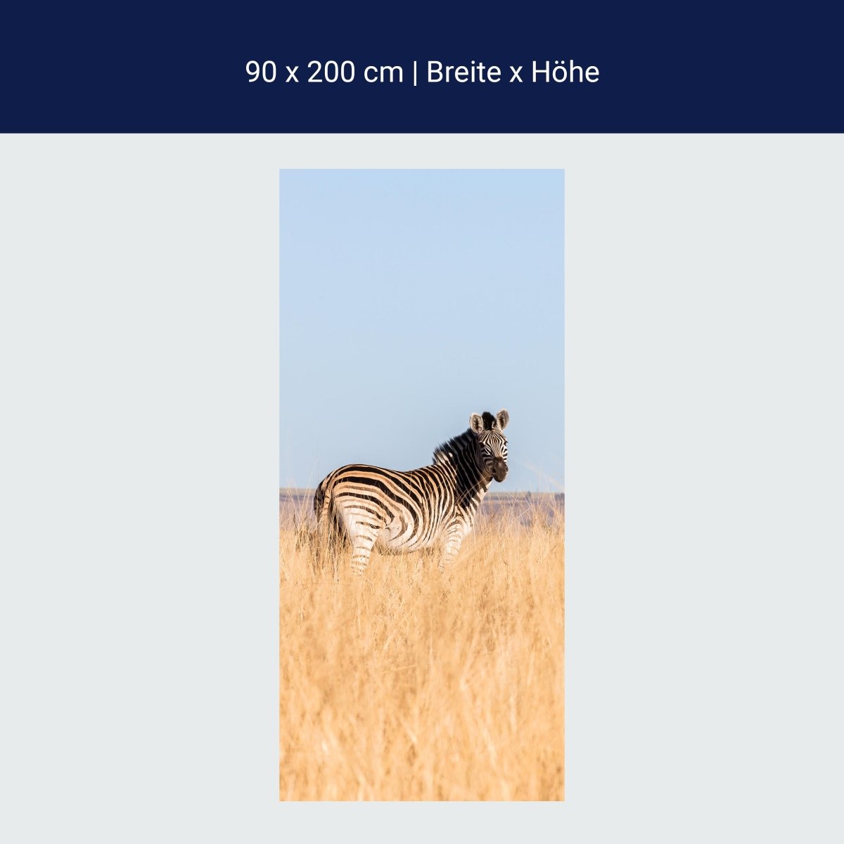 Duschwand Manada de cebras M1007 Duschwand Manada de cebras M1007