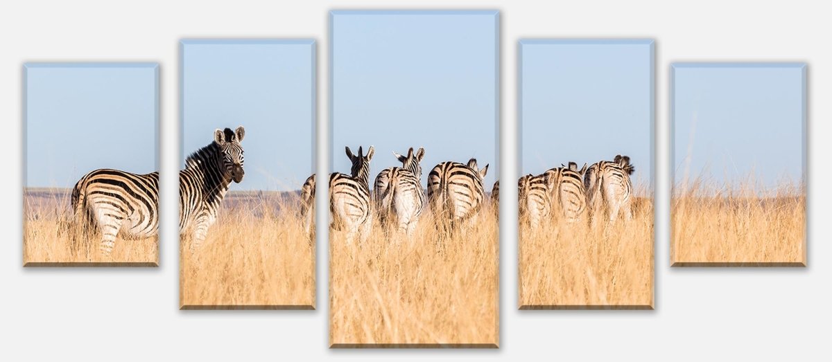 Leinwandbild Mehrteiler Manada de cebras M1007 entdecken - Bild 1 Leinwandbild Mehrteiler Manada de cebras M1007 entdecken - Bild 1