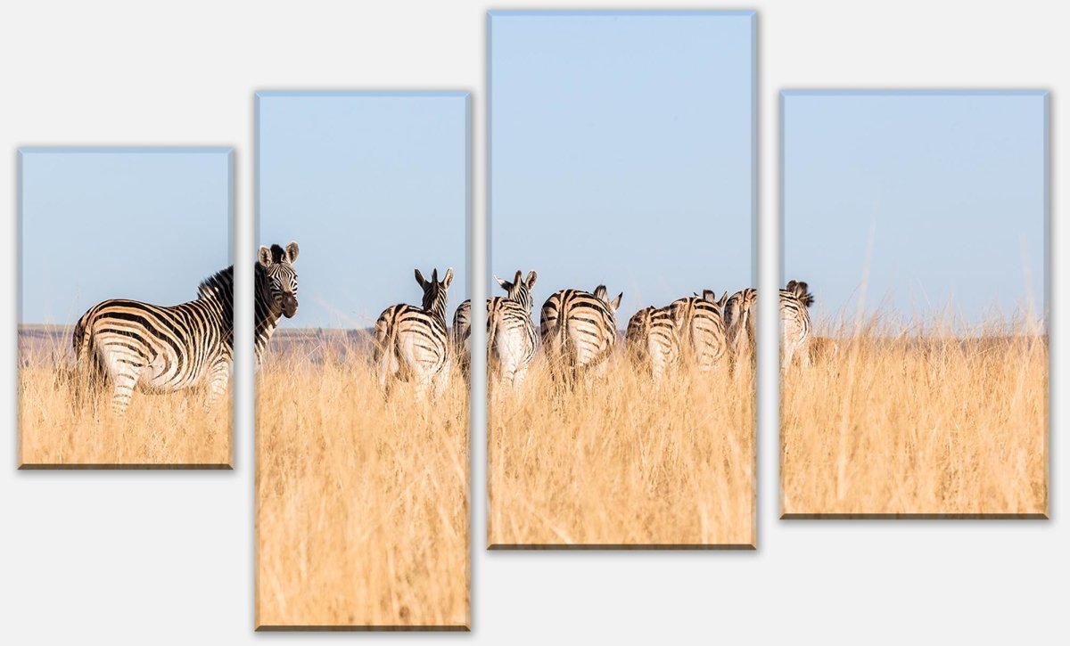 Leinwandbild Mehrteiler Manada de cebras M1007 Leinwandbild Mehrteiler Manada de cebras M1007