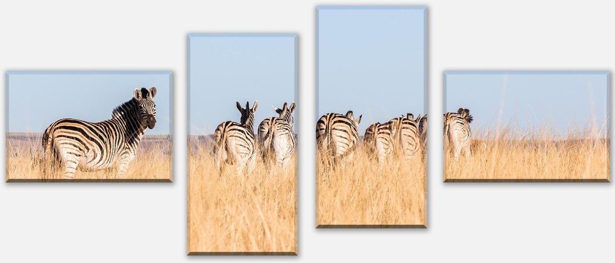 Leinwandbild Mehrteiler Manada de cebras M1007 Leinwandbild Mehrteiler Manada de cebras M1007
