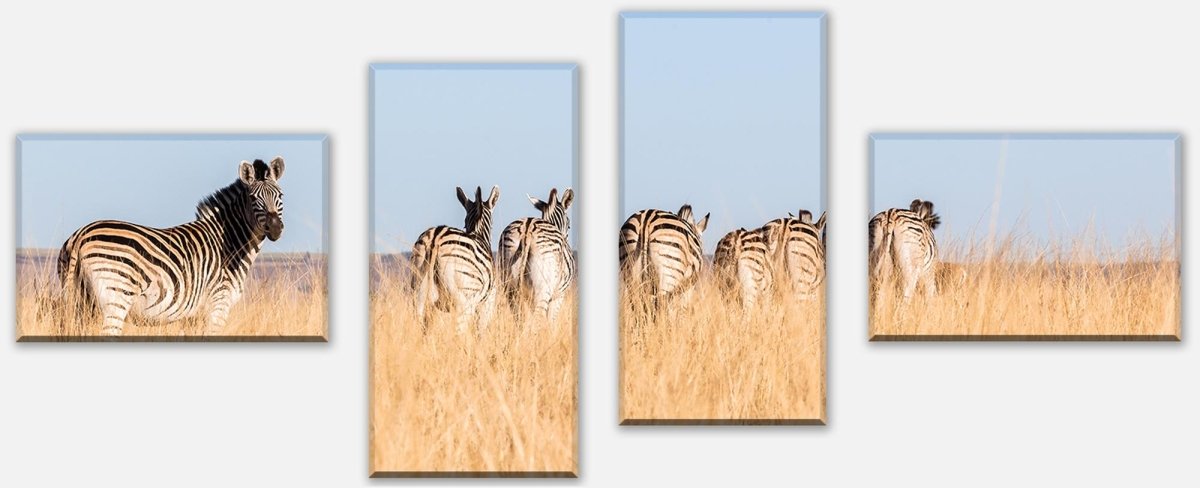 Leinwandbild Mehrteiler Manada de cebras M1007 Leinwandbild Mehrteiler Manada de cebras M1007