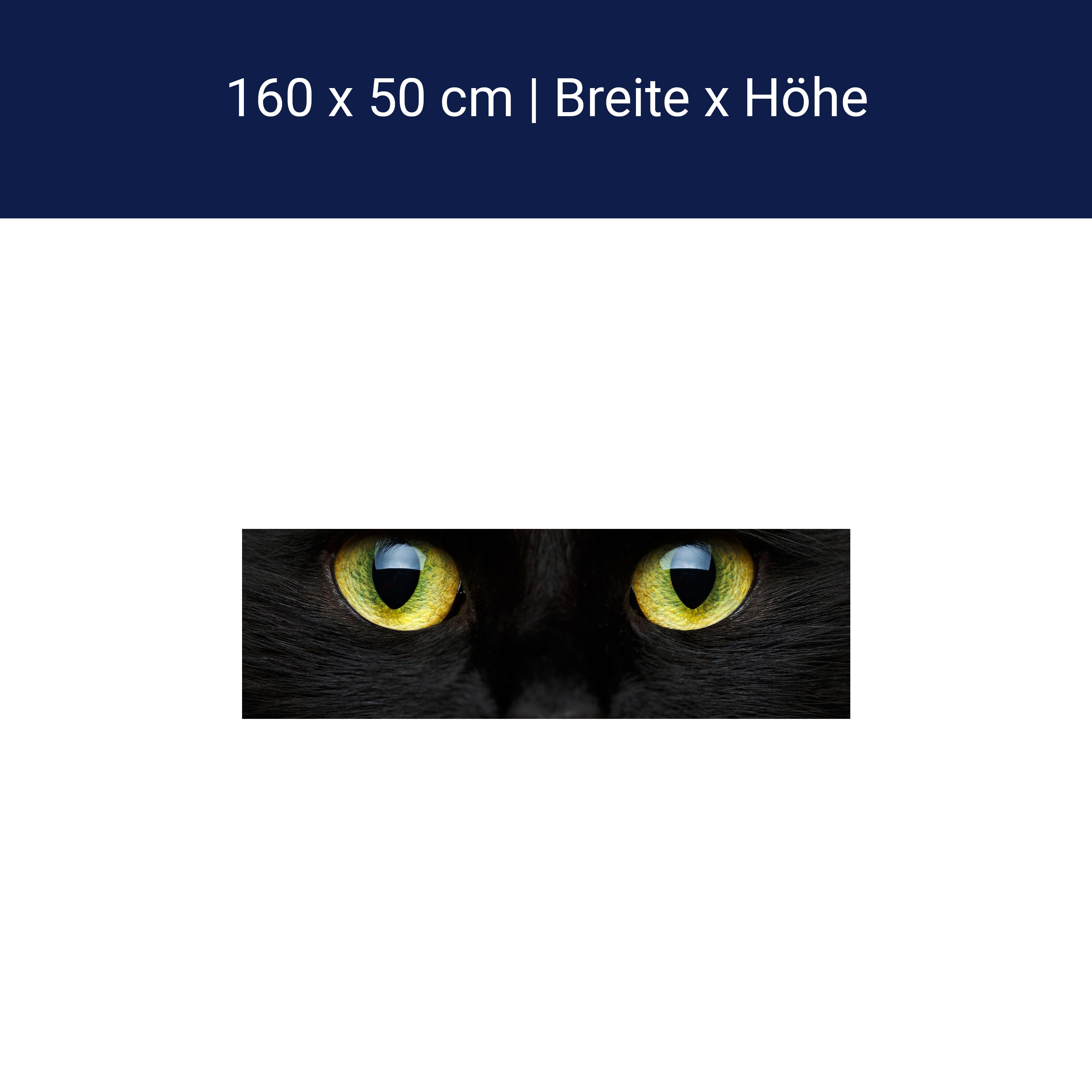 Küchenrückwand Nahaufnahme der schwarzen Katze M1013 Küchenrückwand Nahaufnahme der schwarzen Katze M1013
