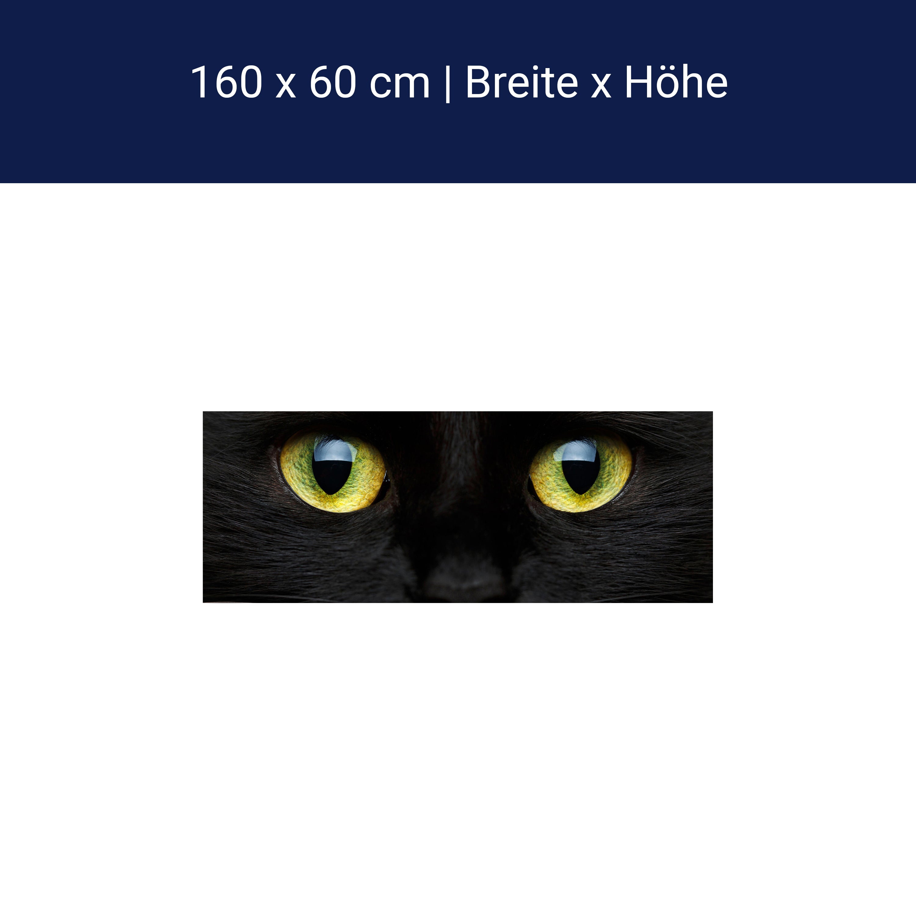 Küchenrückwand Nahaufnahme der schwarzen Katze M1013 Küchenrückwand Nahaufnahme der schwarzen Katze M1013