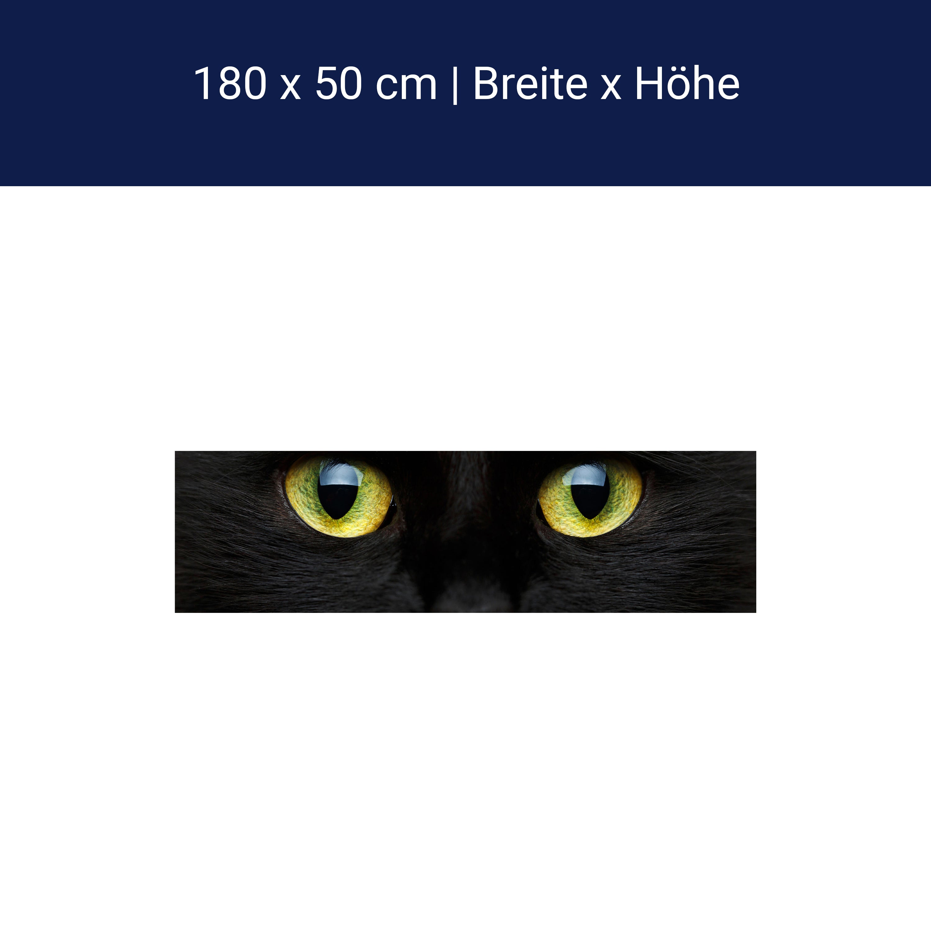 Küchenrückwand Nahaufnahme der schwarzen Katze M1013 Küchenrückwand Nahaufnahme der schwarzen Katze M1013