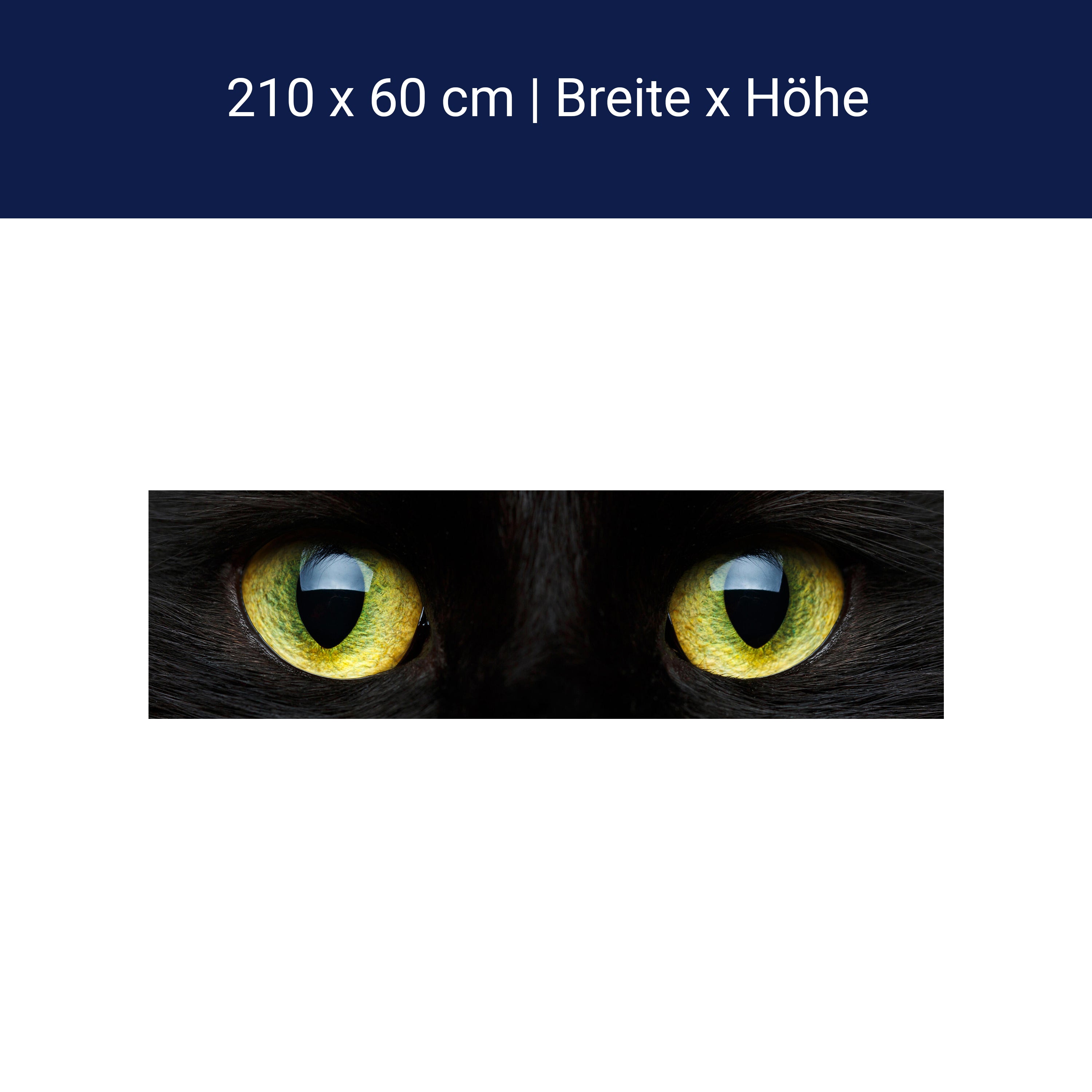 Küchenrückwand Nahaufnahme der schwarzen Katze M1013 Küchenrückwand Nahaufnahme der schwarzen Katze M1013