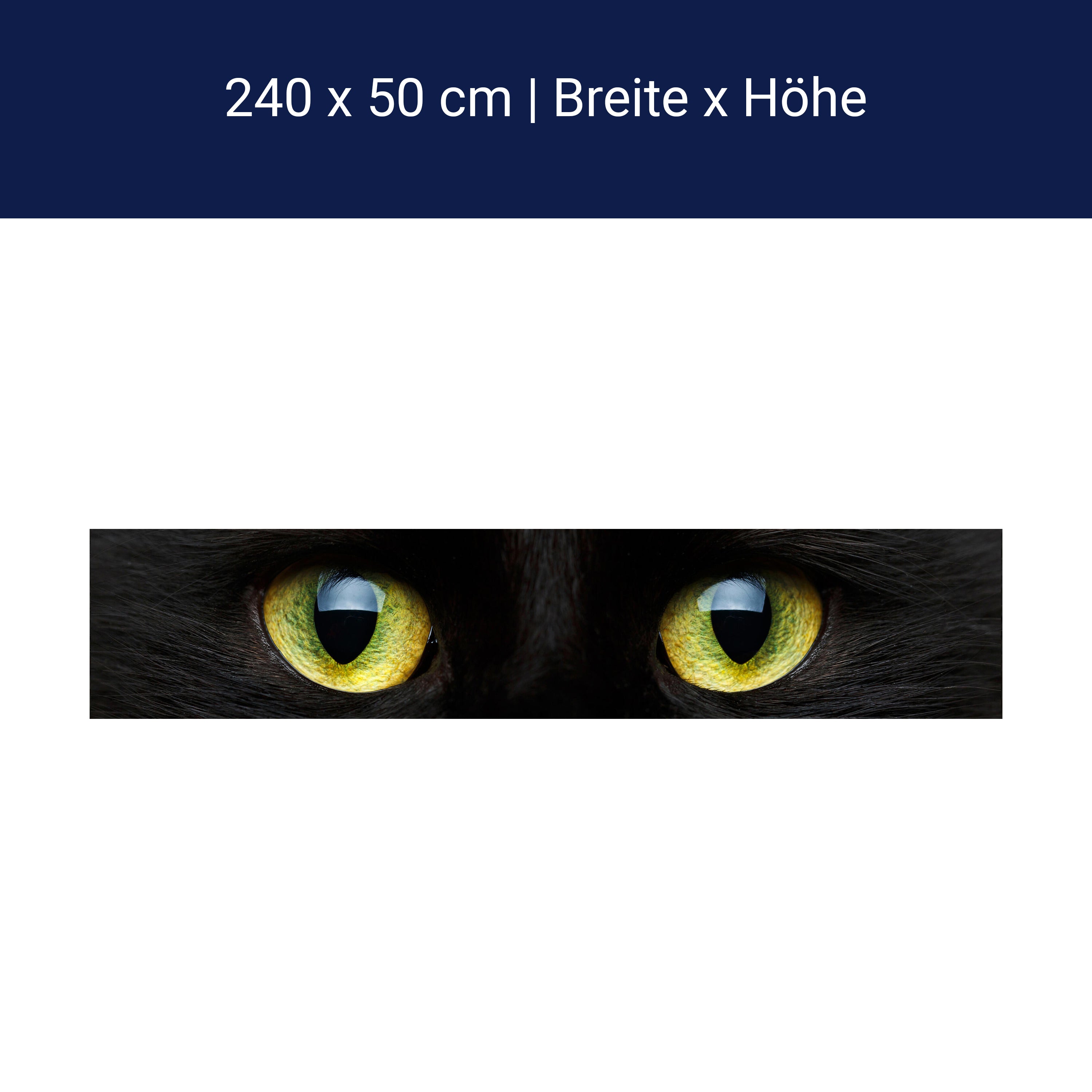 Küchenrückwand Nahaufnahme der schwarzen Katze M1013 Küchenrückwand Nahaufnahme der schwarzen Katze M1013