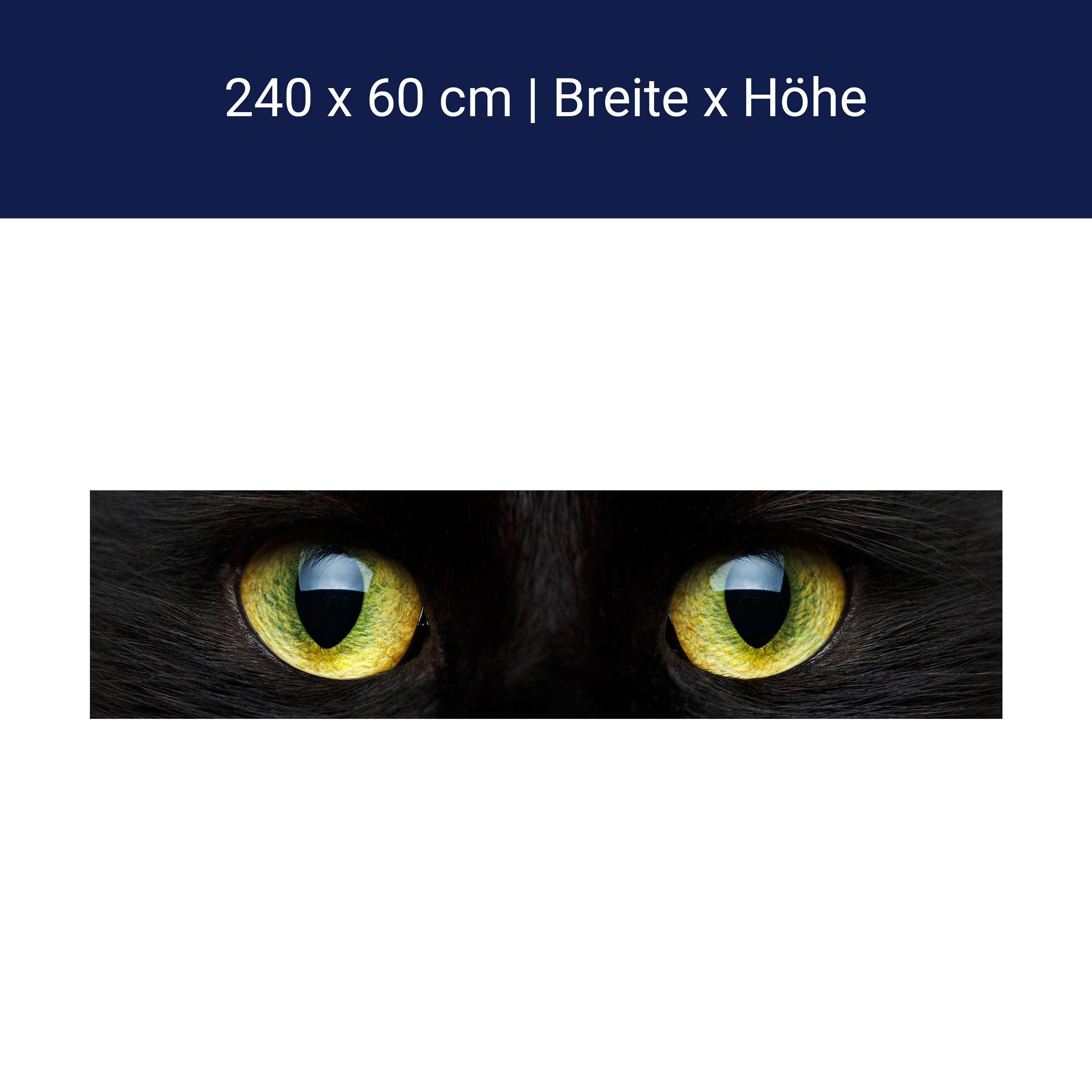 Küchenrückwand Nahaufnahme der schwarzen Katze M1013 Küchenrückwand Nahaufnahme der schwarzen Katze M1013