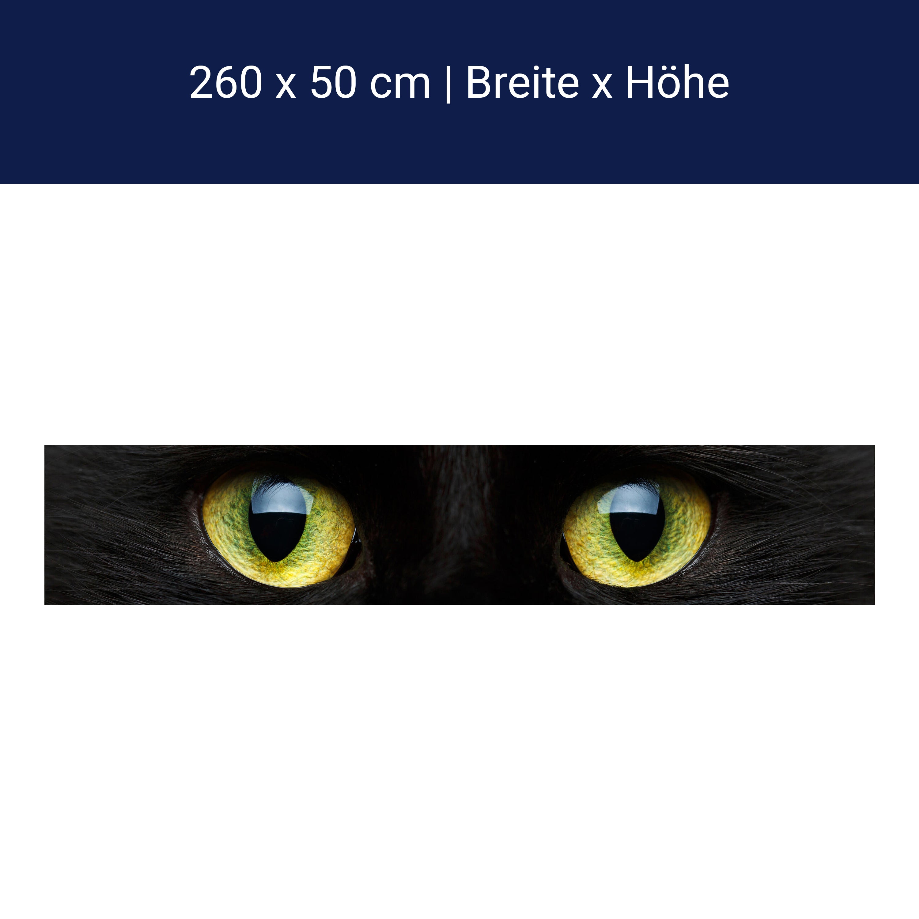 Küchenrückwand Nahaufnahme der schwarzen Katze M1013 Küchenrückwand Nahaufnahme der schwarzen Katze M1013