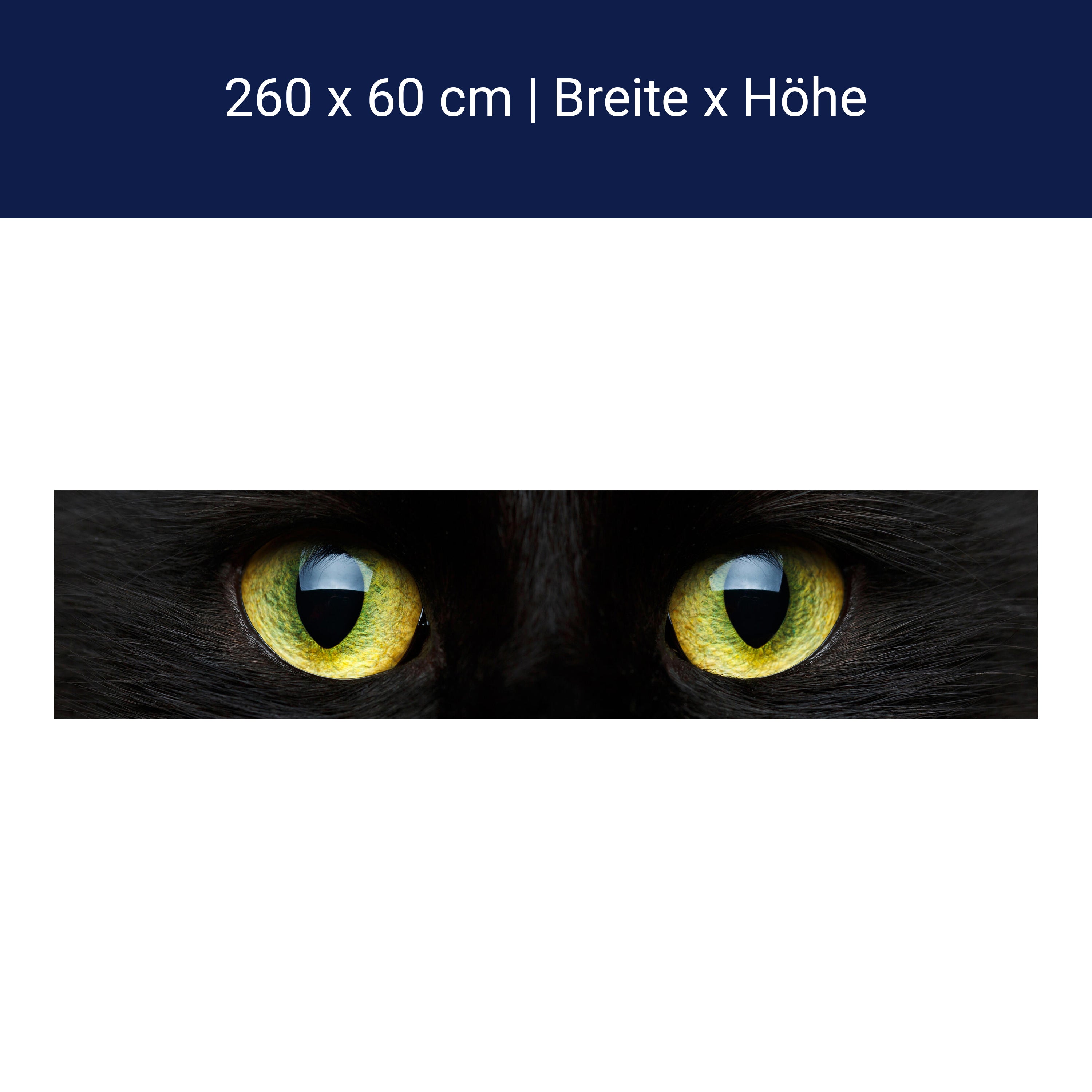 Küchenrückwand Nahaufnahme der schwarzen Katze M1013 Küchenrückwand Nahaufnahme der schwarzen Katze M1013