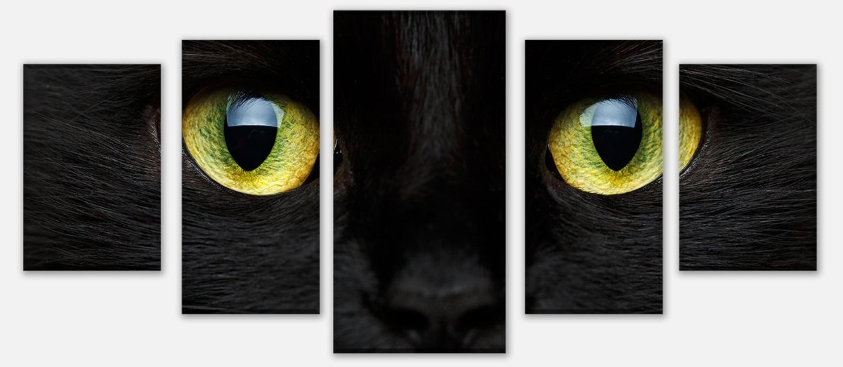 Leinwandbild Mehrteiler Nahaufnahme der schwarzen Katze M1013 entdecken - Bild 1 Leinwandbild Mehrteiler Nahaufnahme der schwarzen Katze M1013 entdecken - Bild 1