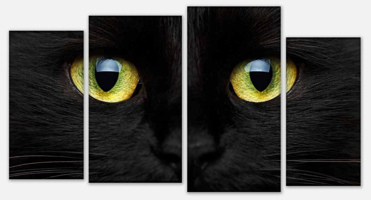 Leinwandbild Mehrteiler Nahaufnahme der schwarzen Katze M1013 Leinwandbild Mehrteiler Nahaufnahme der schwarzen Katze M1013
