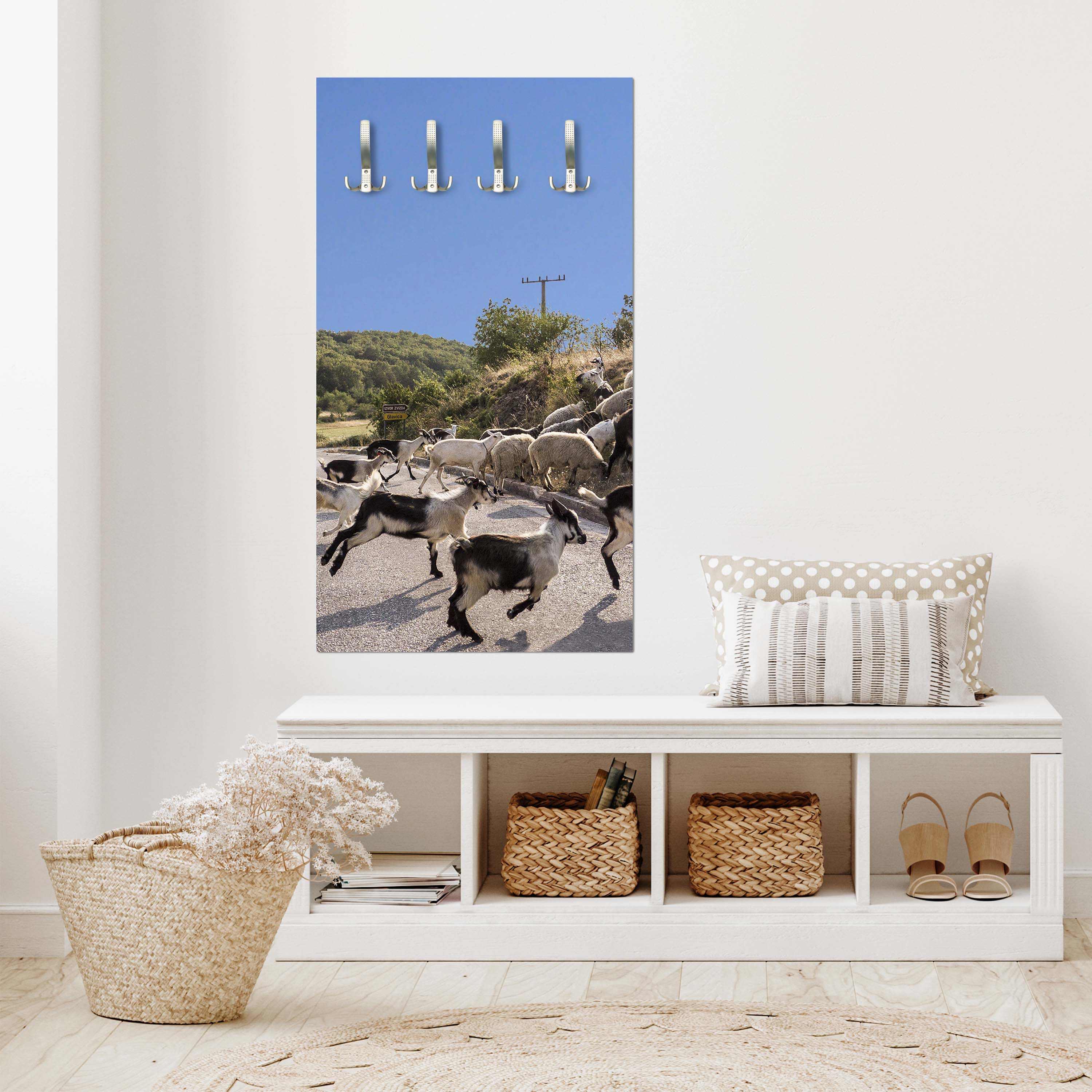 Garderobe Schafe und Ziegen überqueren die Straße M1014 entdecken - Bild 2 Garderobe Schafe und Ziegen überqueren die Straße M1014 entdecken - Bild 2