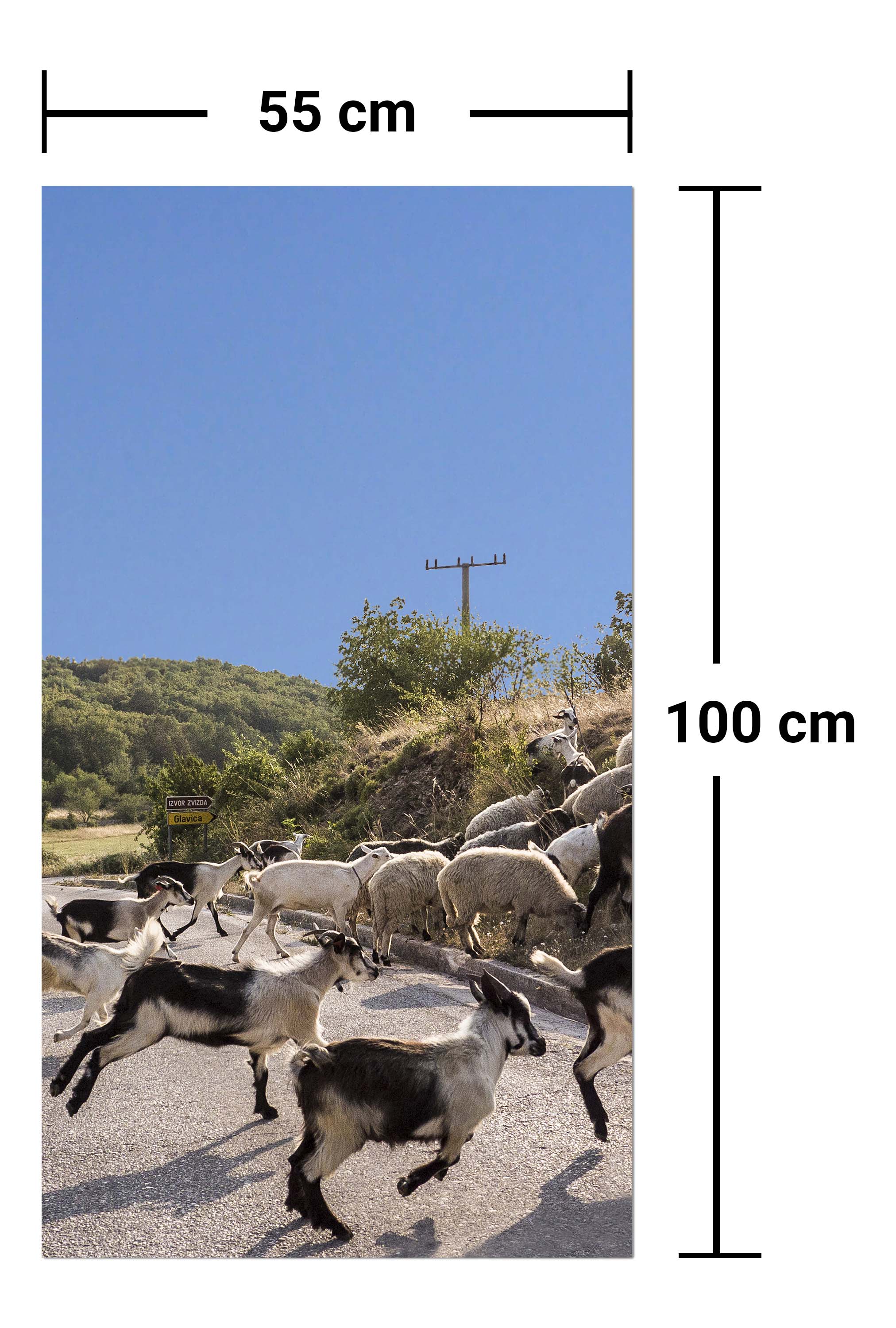 Garderobe Schafe und Ziegen überqueren die Straße M1014 entdecken - Bild 7 Garderobe Schafe und Ziegen überqueren die Straße M1014 entdecken - Bild 7