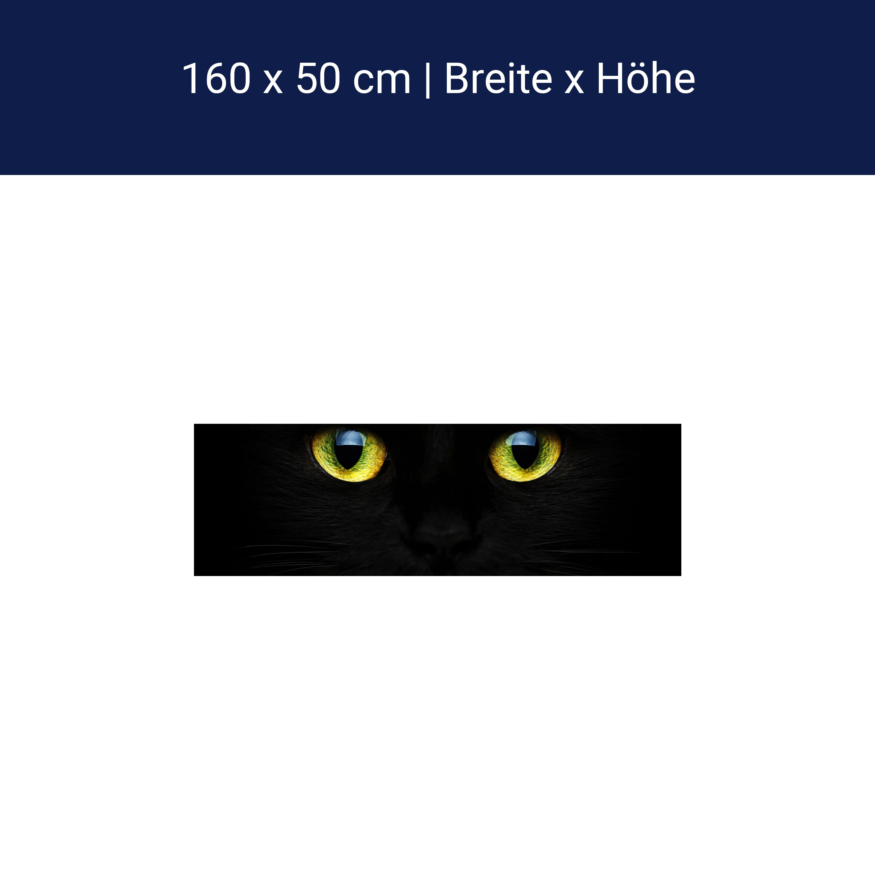 Küchenrückwand Mysteriöse Katzenaugen M1015 Küchenrückwand Mysteriöse Katzenaugen M1015