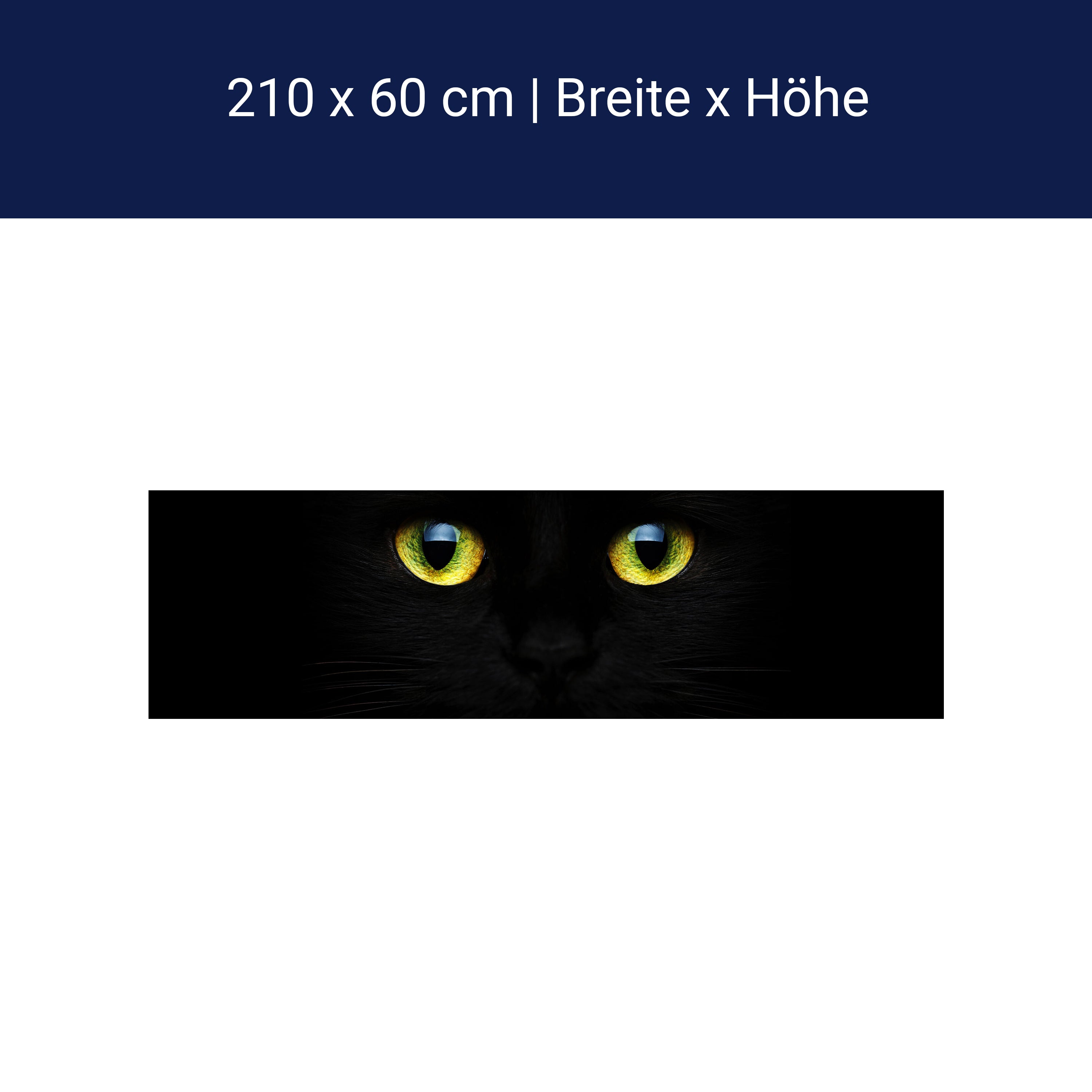 Küchenrückwand Mysteriöse Katzenaugen M1015 Küchenrückwand Mysteriöse Katzenaugen M1015