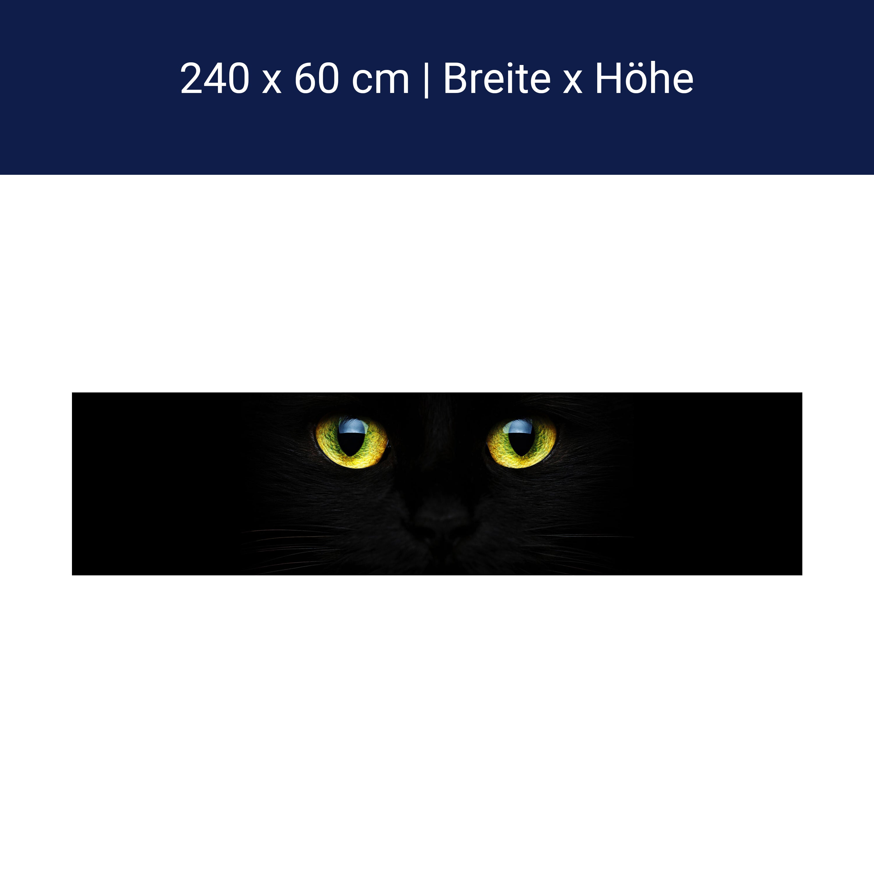 Küchenrückwand Mysteriöse Katzenaugen M1015 Küchenrückwand Mysteriöse Katzenaugen M1015