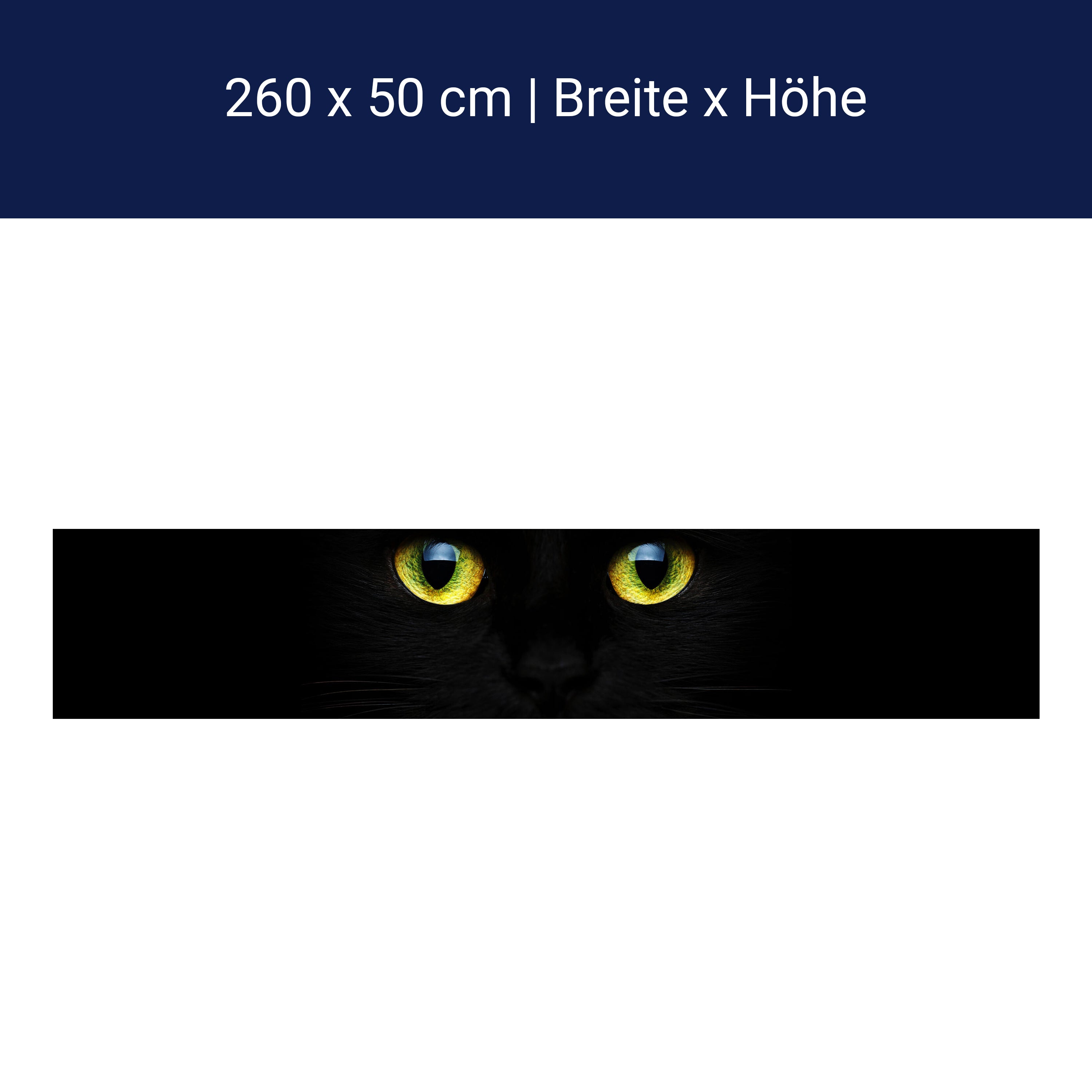 Küchenrückwand Mysteriöse Katzenaugen M1015 Küchenrückwand Mysteriöse Katzenaugen M1015