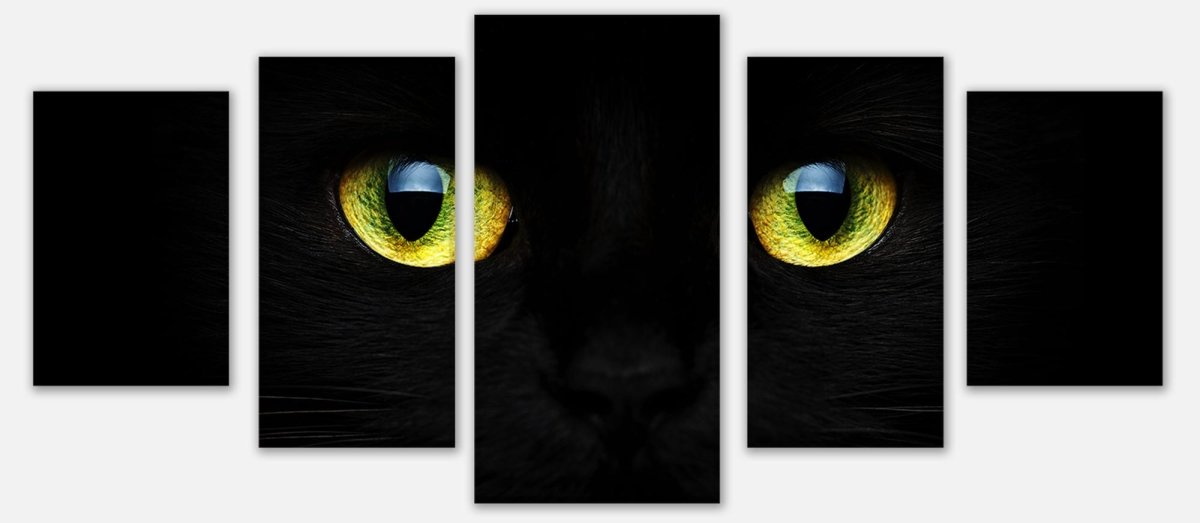 Leinwandbild Mehrteiler Mysteriöse Katzenaugen M1015 entdecken - Bild 1 Leinwandbild Mehrteiler Mysteriöse Katzenaugen M1015 entdecken - Bild 1
