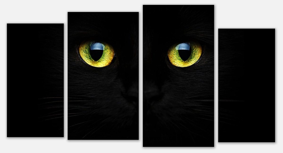 Leinwandbild Mehrteiler Mysteriöse Katzenaugen M1015 Leinwandbild Mehrteiler Mysteriöse Katzenaugen M1015