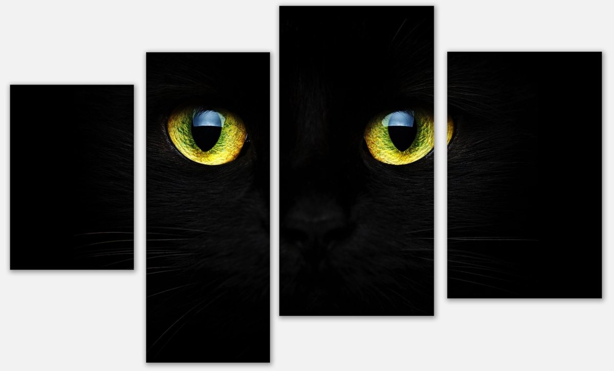 Leinwandbild Mehrteiler Mysteriöse Katzenaugen M1015 Leinwandbild Mehrteiler Mysteriöse Katzenaugen M1015