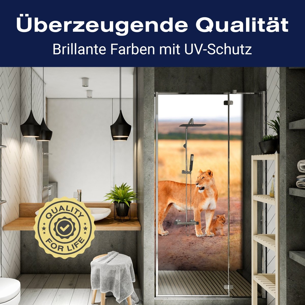 Duschwand Löwe mit einem Jungen, Kenia M1020 entdecken - Bild 2 Duschwand Löwe mit einem Jungen, Kenia M1020 entdecken - Bild 2