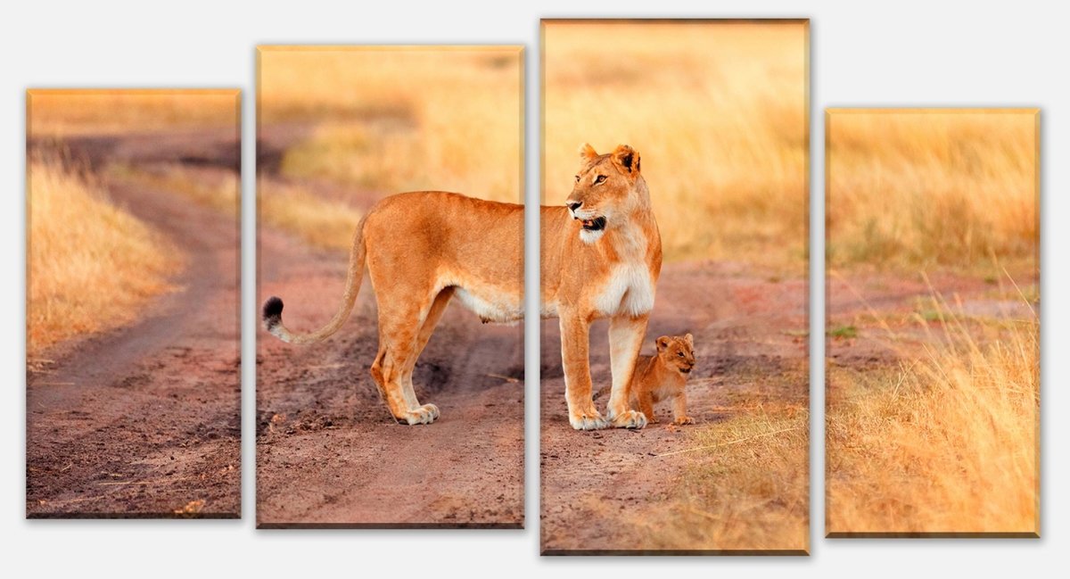 Leinwandbild Mehrteiler Löwe mit einem Jungen, Kenia M1020 Leinwandbild Mehrteiler Löwe mit einem Jungen, Kenia M1020