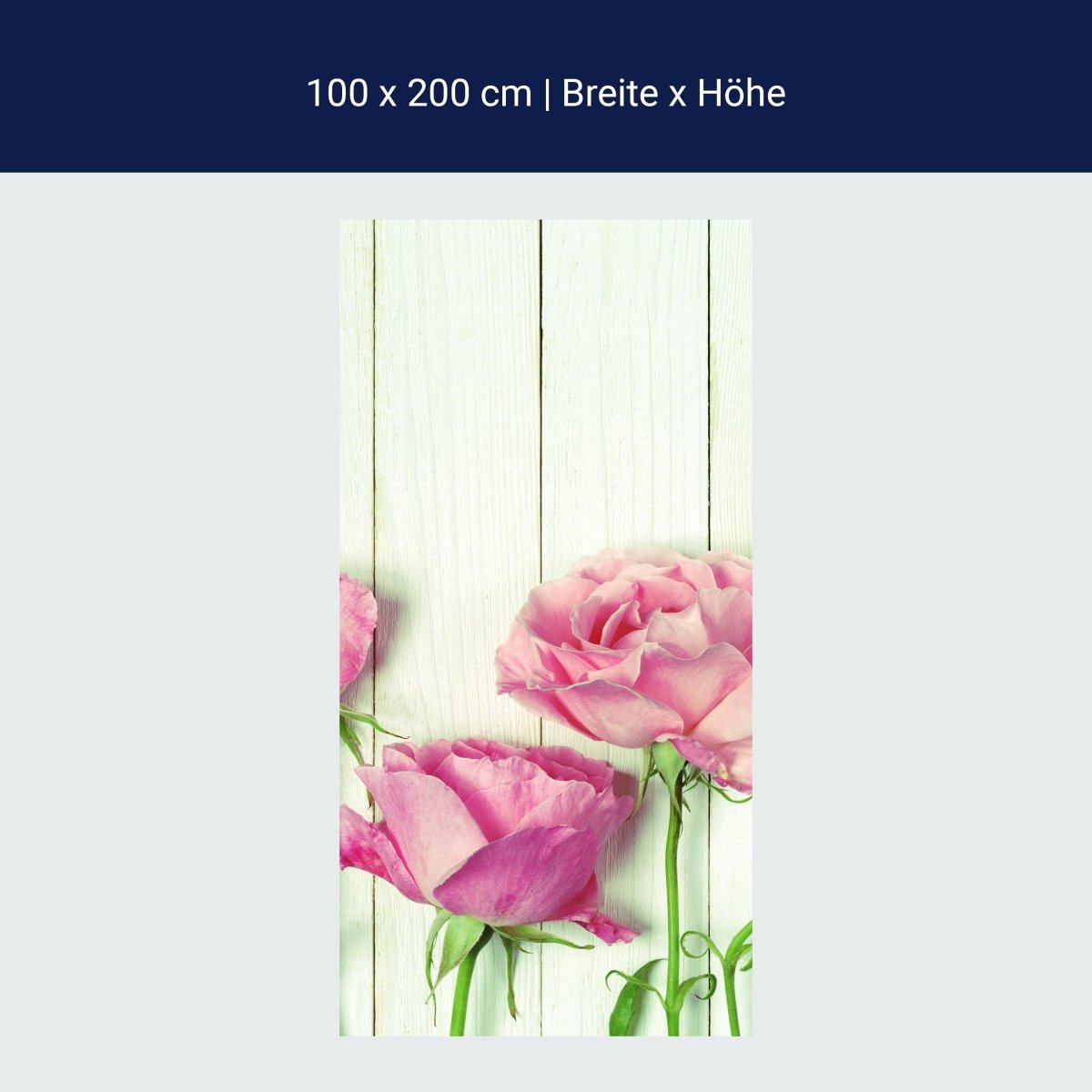 Duschwand Frische Gartenrosen M1021 Duschwand Frische Gartenrosen M1021