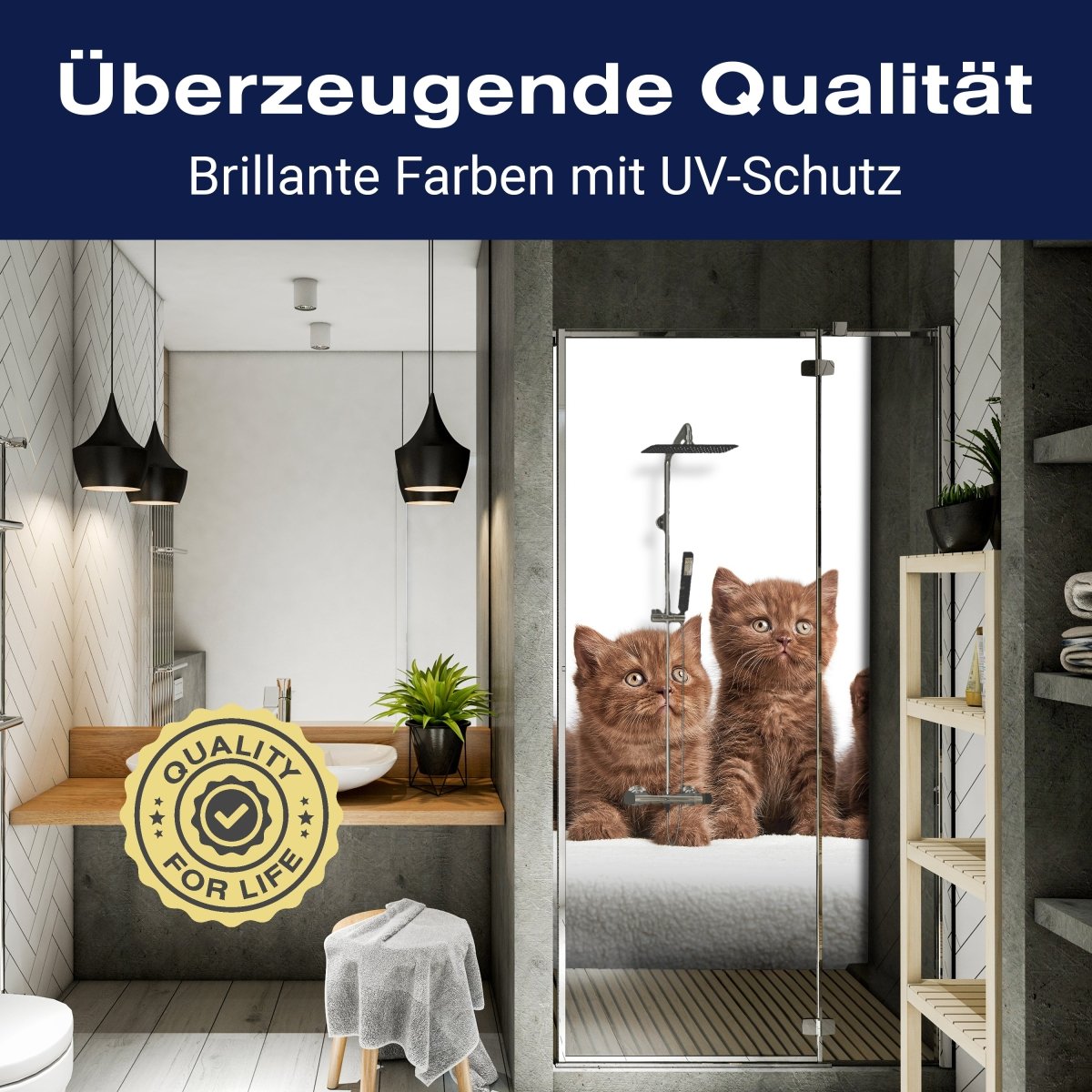 Duschwand Portrait von sechs braunen Kätzchen M1022 entdecken - Bild 2 Duschwand Portrait von sechs braunen Kätzchen M1022 entdecken - Bild 2