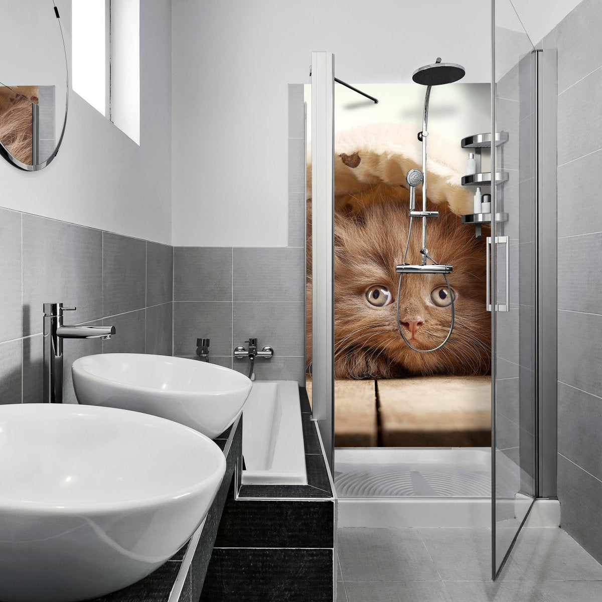 Duschwand Braunes britisches langhaariges Kätzchen M1023 entdecken - Bild 1 Duschwand Braunes britisches langhaariges Kätzchen M1023 entdecken - Bild 1