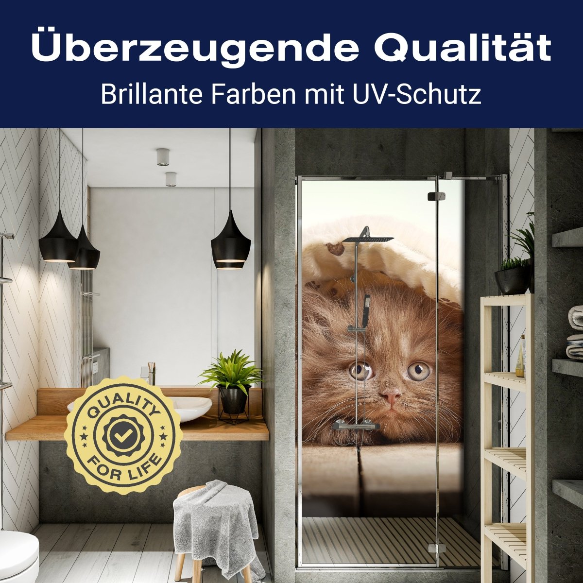 Duschwand Braunes britisches langhaariges Kätzchen M1023 entdecken - Bild 2 Duschwand Braunes britisches langhaariges Kätzchen M1023 entdecken - Bild 2