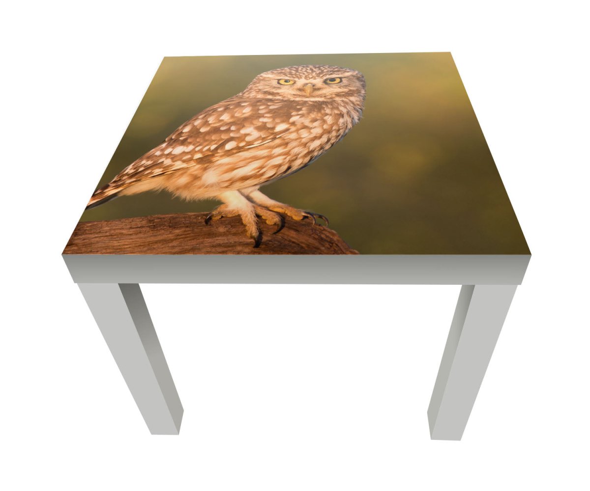 Beistelltisch Kleine Eule auf einem Baumstamm M1026 entdecken - Bild 1 Beistelltisch Kleine Eule auf einem Baumstamm M1026 entdecken - Bild 1