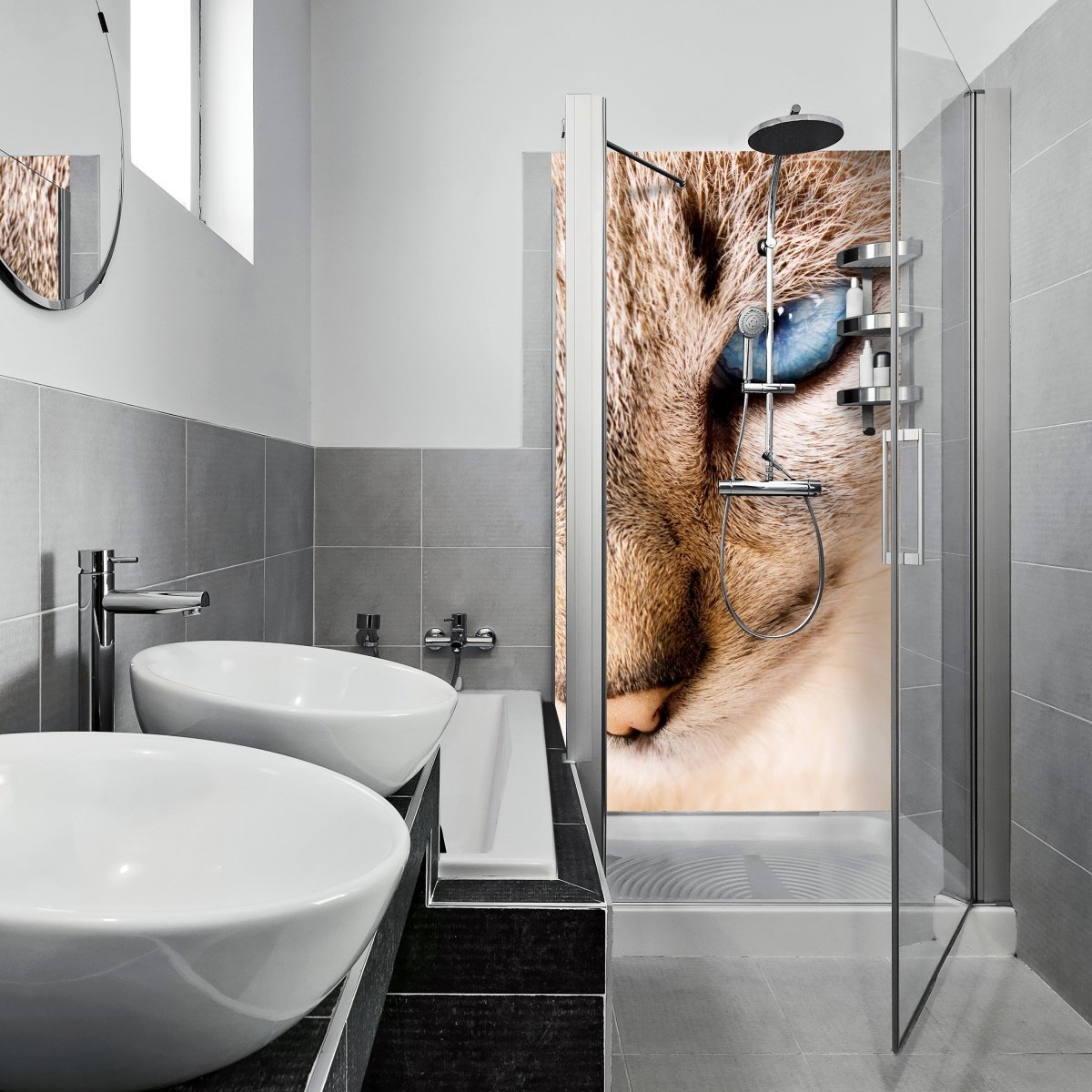 Duschwand Nettes weißes Katzenporträt M1028 entdecken - Bild 1 Duschwand Nettes weißes Katzenporträt M1028 entdecken - Bild 1