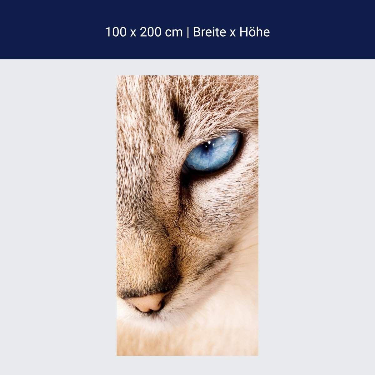 Duschwand Nettes weißes Katzenporträt M1028 Duschwand Nettes weißes Katzenporträt M1028