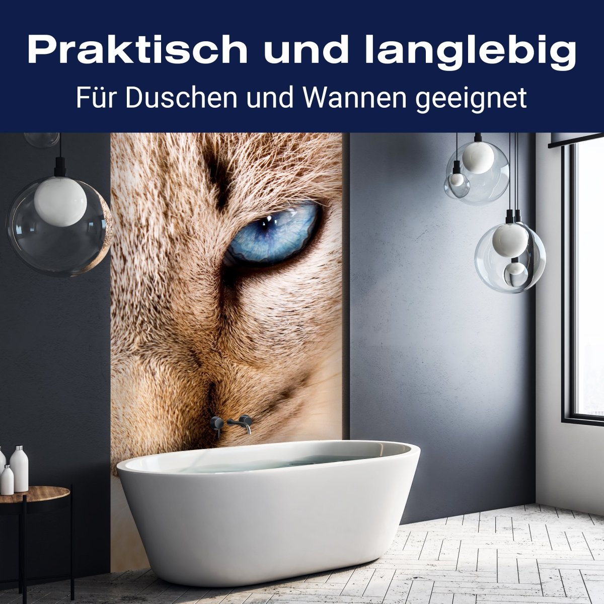 Duschwand Nettes weißes Katzenporträt M1028 entdecken - Bild 3 Duschwand Nettes weißes Katzenporträt M1028 entdecken - Bild 3