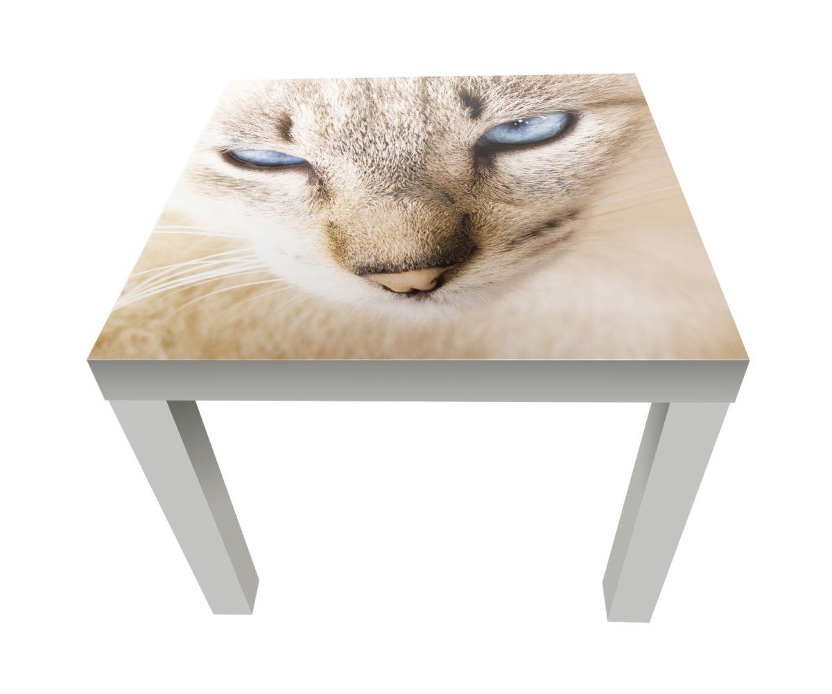Beistelltisch Nettes weißes Katzenporträt M1028 entdecken - Bild 1 Beistelltisch Nettes weißes Katzenporträt M1028 entdecken - Bild 1