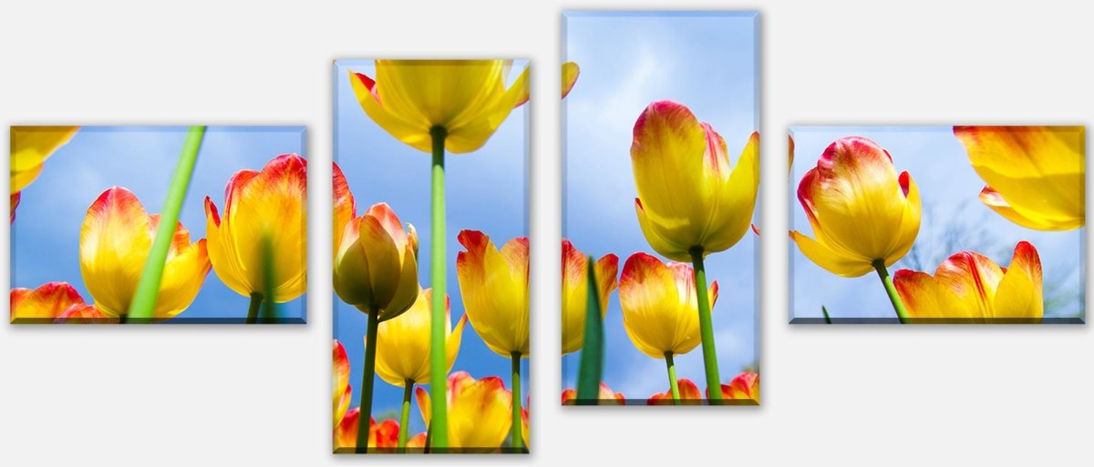Leinwandbild Mehrteiler Tulpen M1029 Leinwandbild Mehrteiler Tulpen M1029