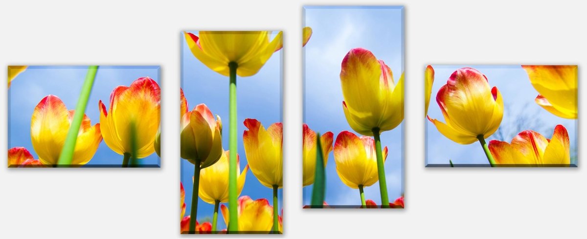 Leinwandbild Mehrteiler Tulpen M1029 Leinwandbild Mehrteiler Tulpen M1029