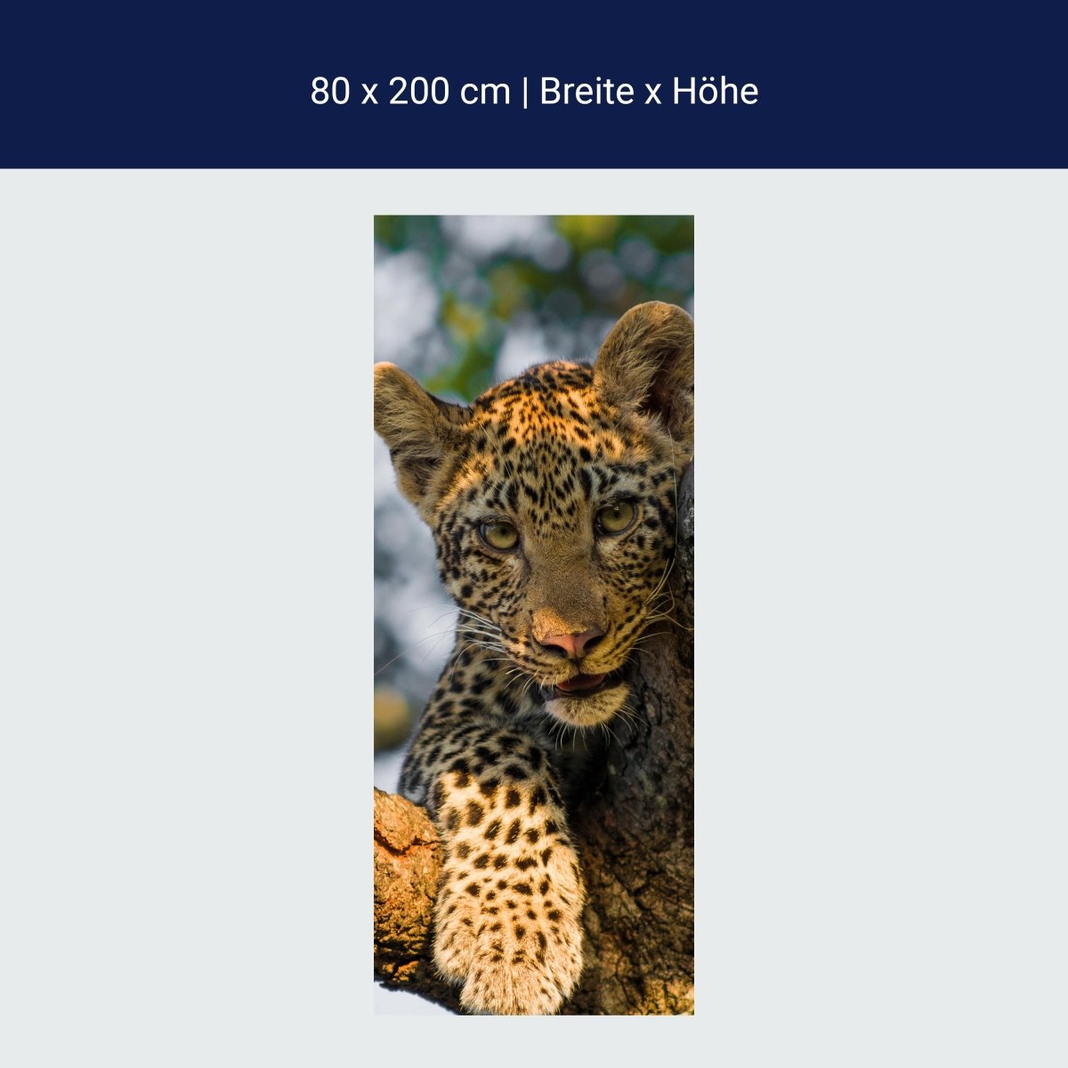 Duschwand Leopard in Südafrika M1032 Duschwand Leopard in Südafrika M1032