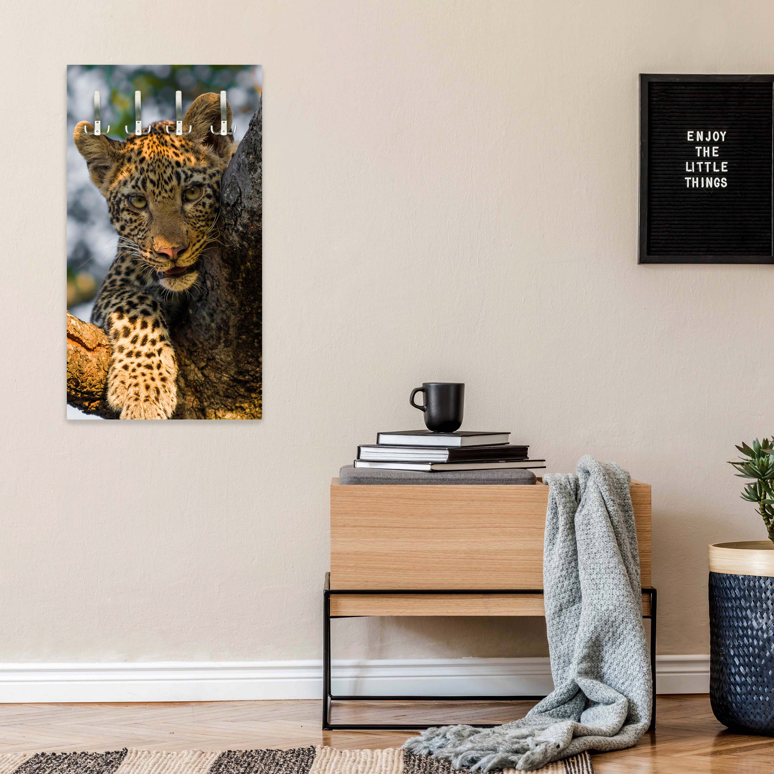 Garderobe Leopard in Südafrika M1032 entdecken - Bild 6 Garderobe Leopard in Südafrika M1032 entdecken - Bild 6