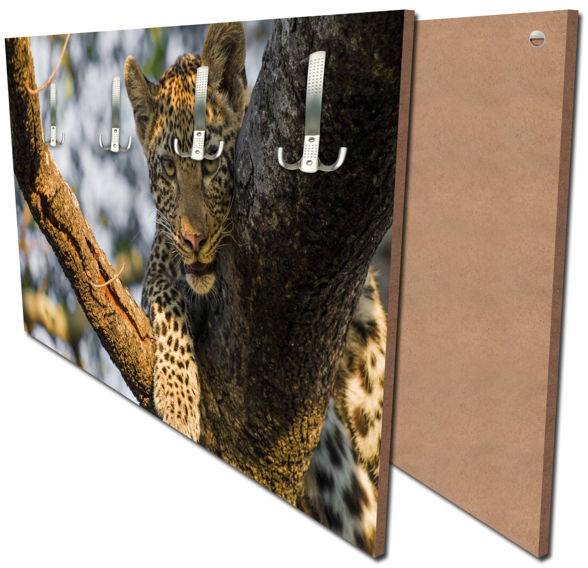 Garderobe Leopard in Südafrika M1032 Garderobe Leopard in Südafrika M1032