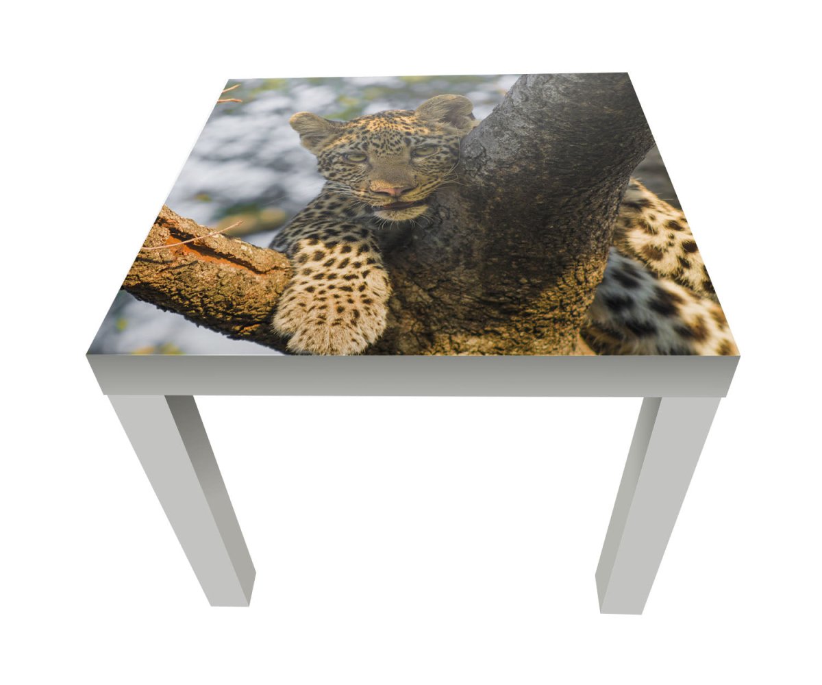 Beistelltisch Leopard in Südafrika M1032 entdecken - Bild 1 Beistelltisch Leopard in Südafrika M1032 entdecken - Bild 1