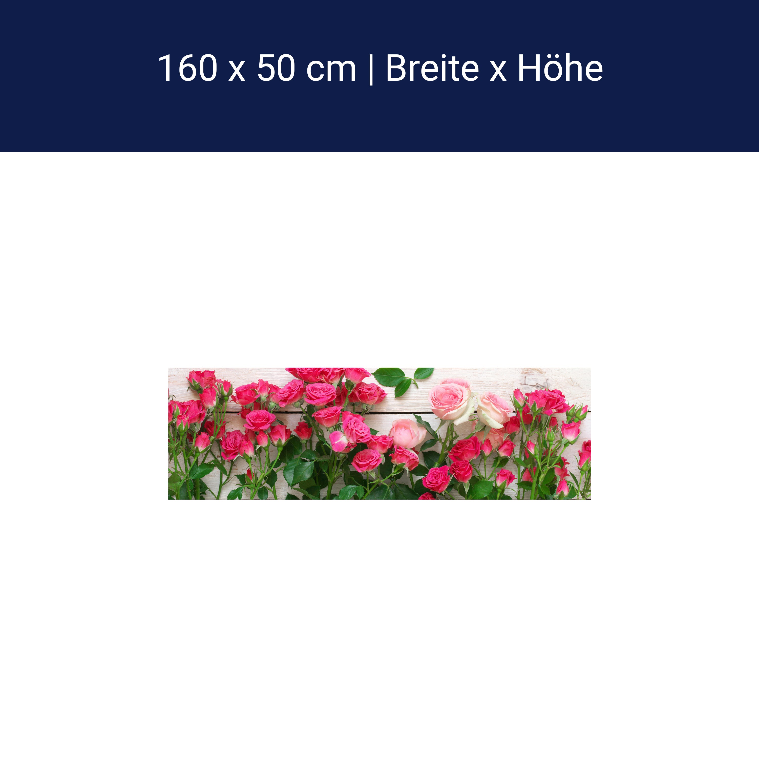 Küchenrückwand Rosa und karminrote Rosen M1034 Küchenrückwand Rosa und karminrote Rosen M1034