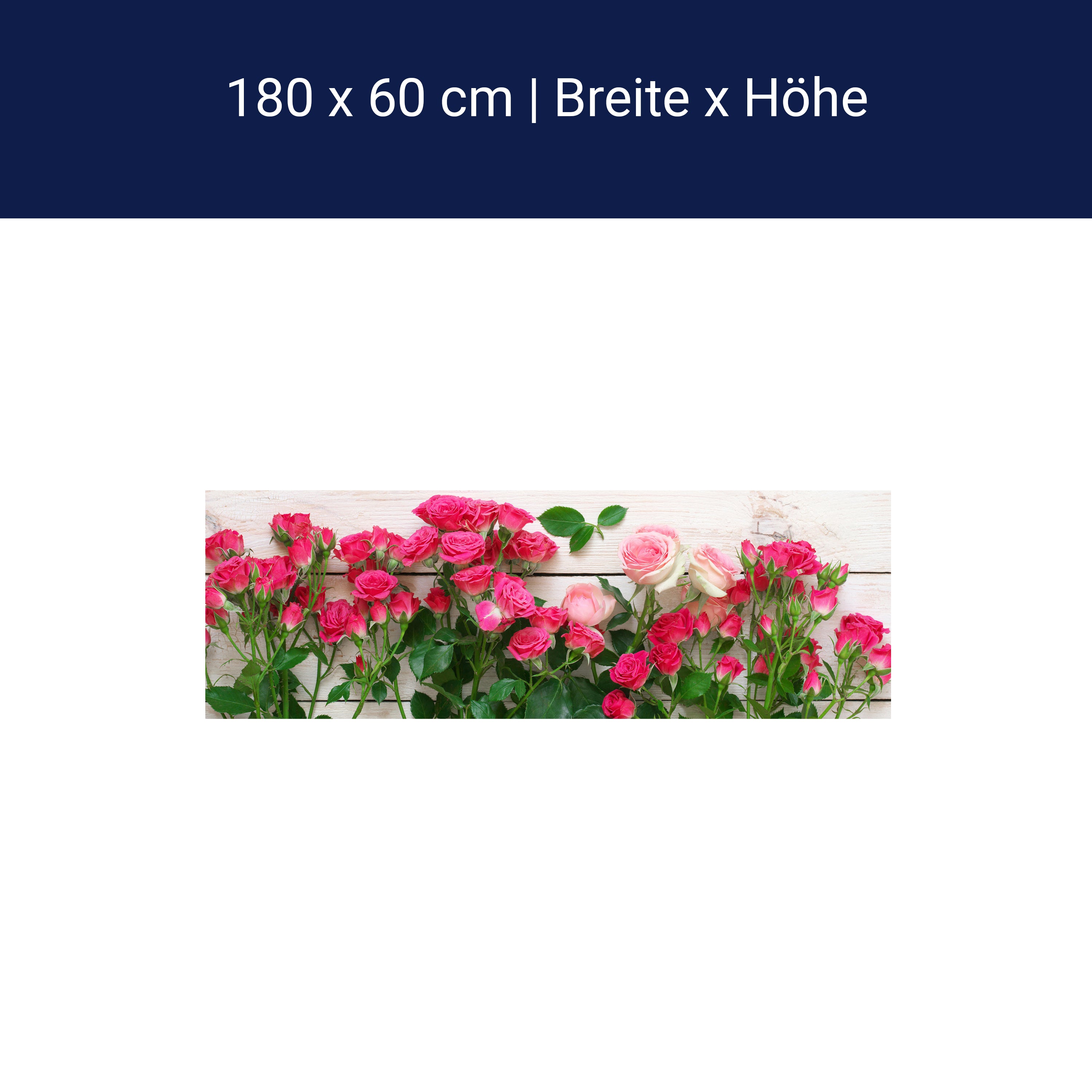 Küchenrückwand Rosa und karminrote Rosen M1034 Küchenrückwand Rosa und karminrote Rosen M1034