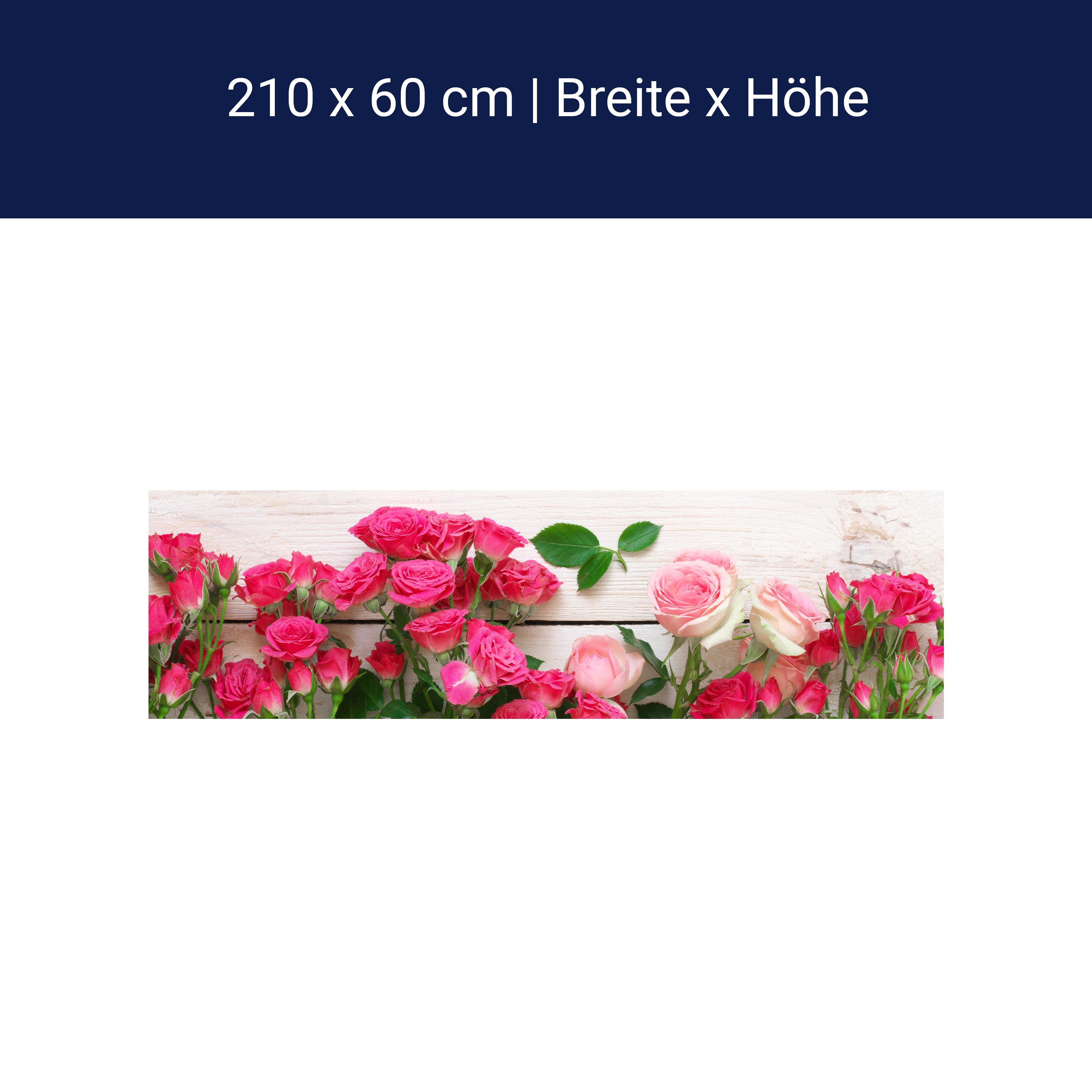 Küchenrückwand Rosa und karminrote Rosen M1034 Küchenrückwand Rosa und karminrote Rosen M1034