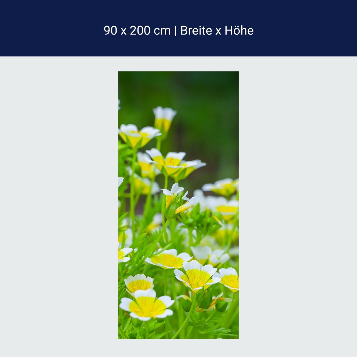 Duschwand Blumen, Sommergarten M1039 Duschwand Blumen, Sommergarten M1039