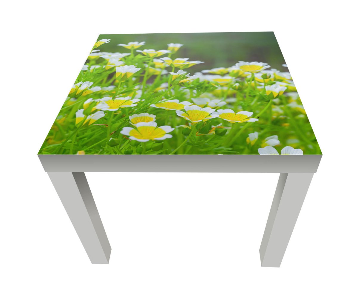 Beistelltisch Blumen, die im Sommergarten wachsen M1039 entdecken - Bild 1 Beistelltisch Blumen, die im Sommergarten wachsen M1039 entdecken - Bild 1