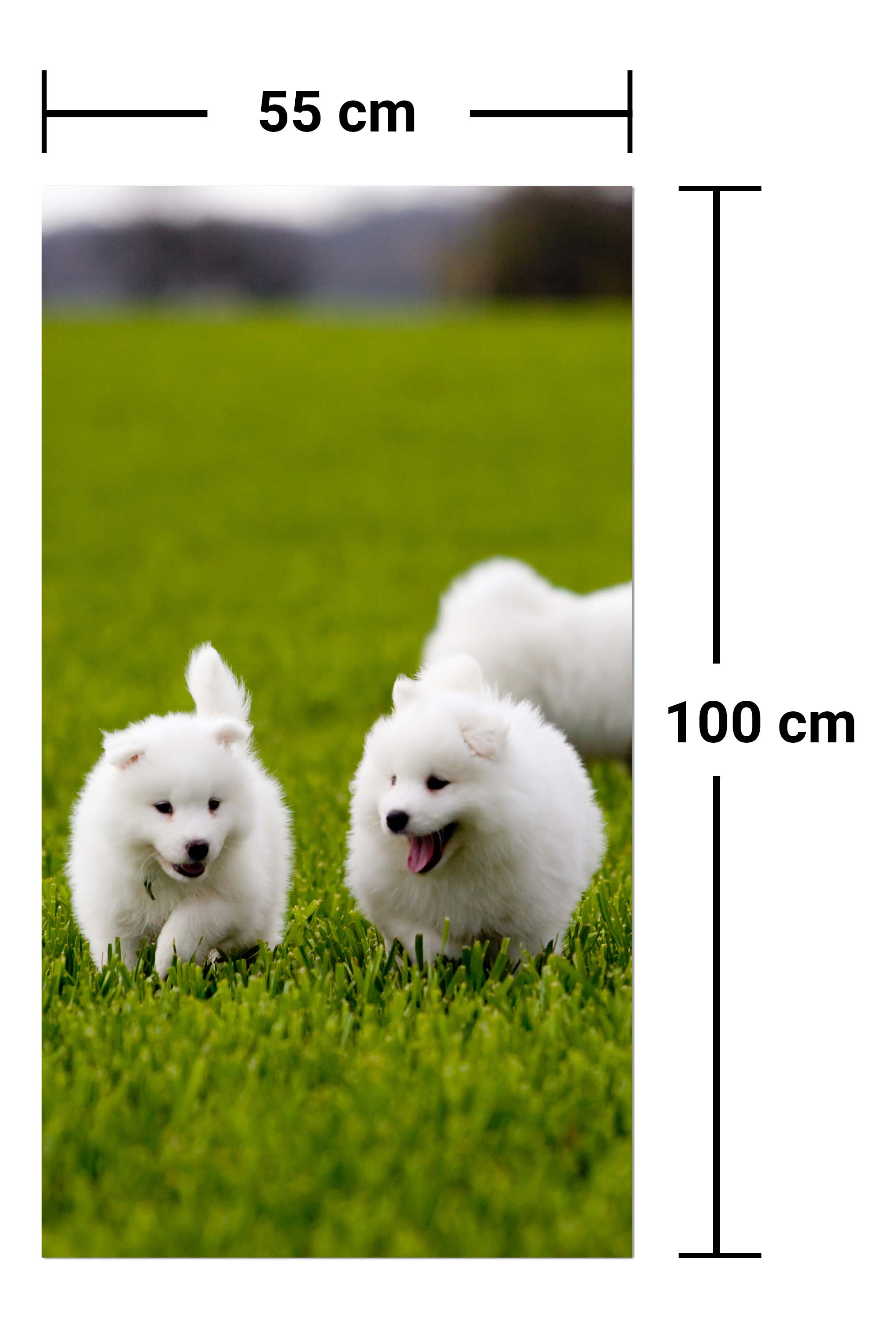 Garderobe Samojedenhund M1043 entdecken - Bild 7 Garderobe Samojedenhund M1043 entdecken - Bild 7